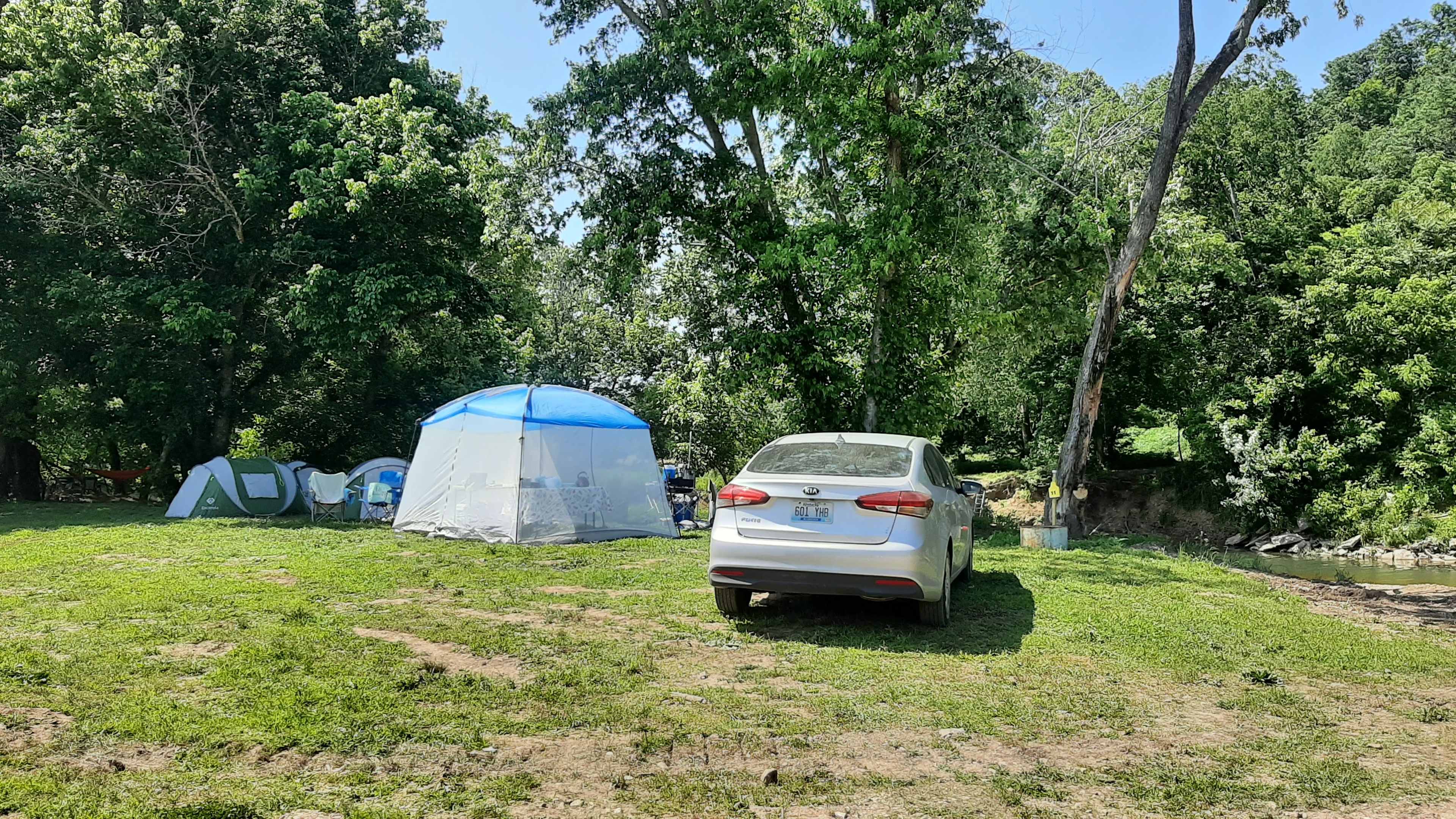 Picture of the site