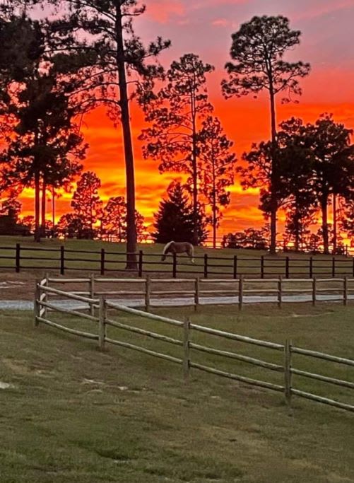 Foundation RV Camping Horse Hotel,