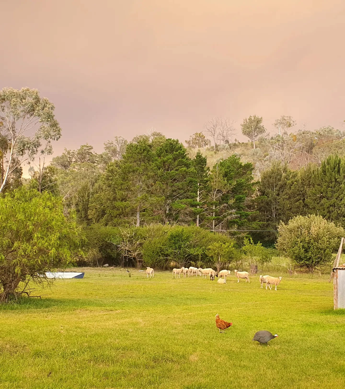The large Grassy area where you can camp.