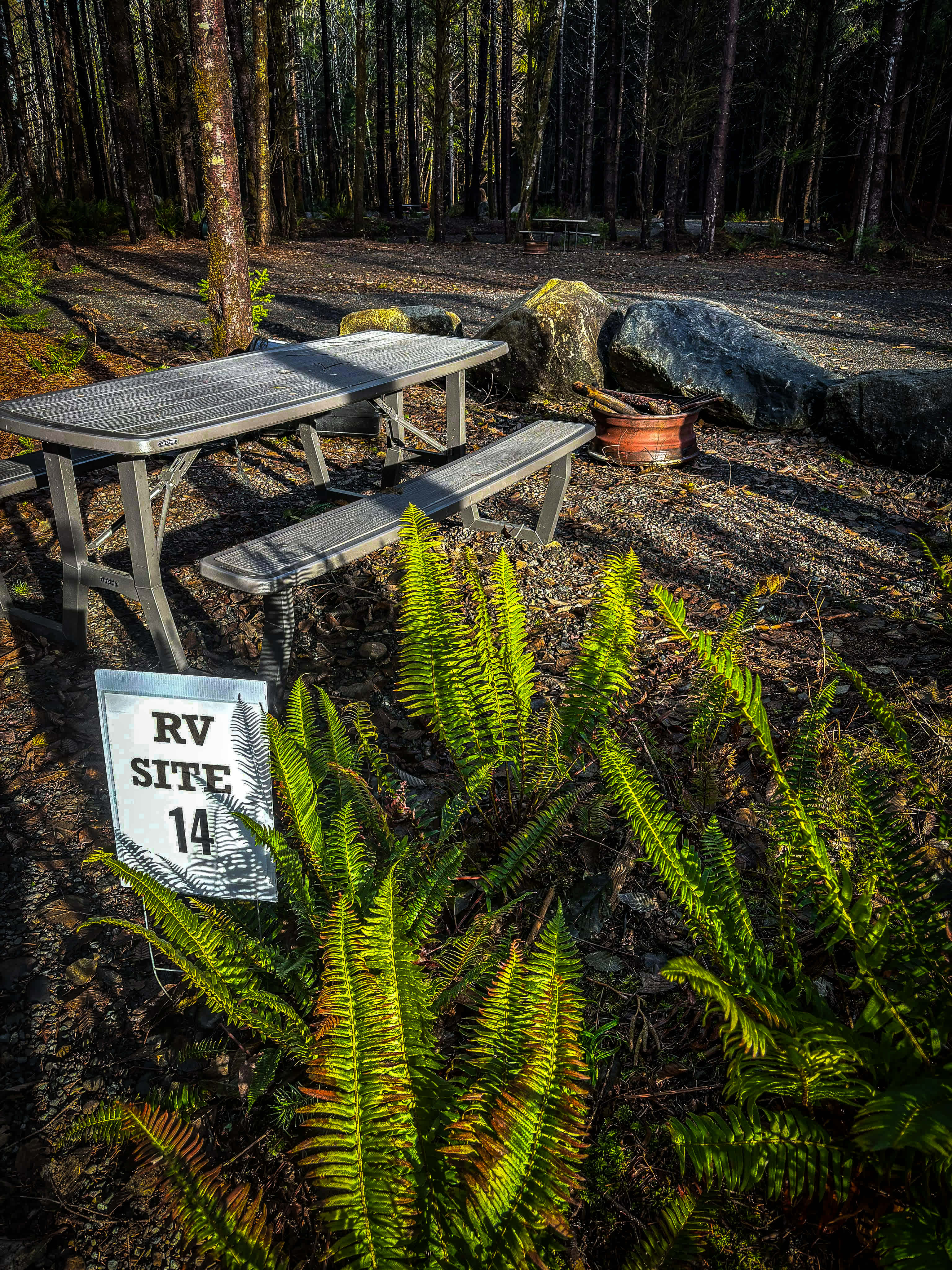Picture of the site