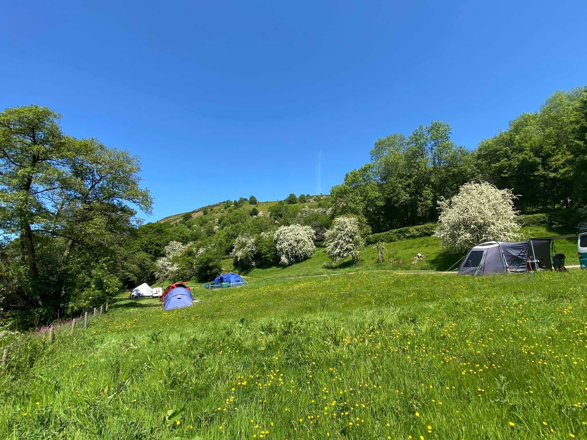 Panpwnton Campsite