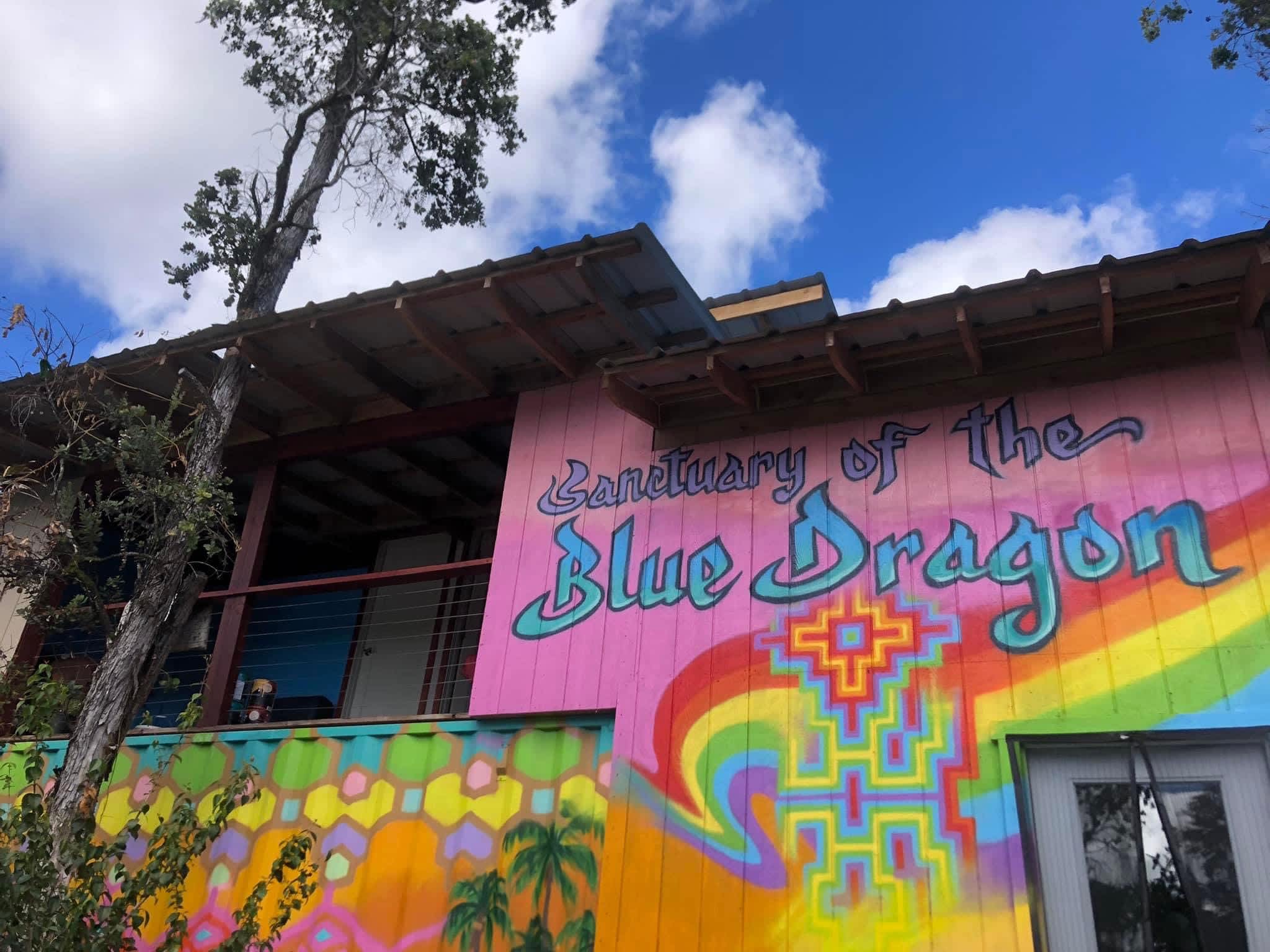 Blue Dragon Hot Yoga Homestead