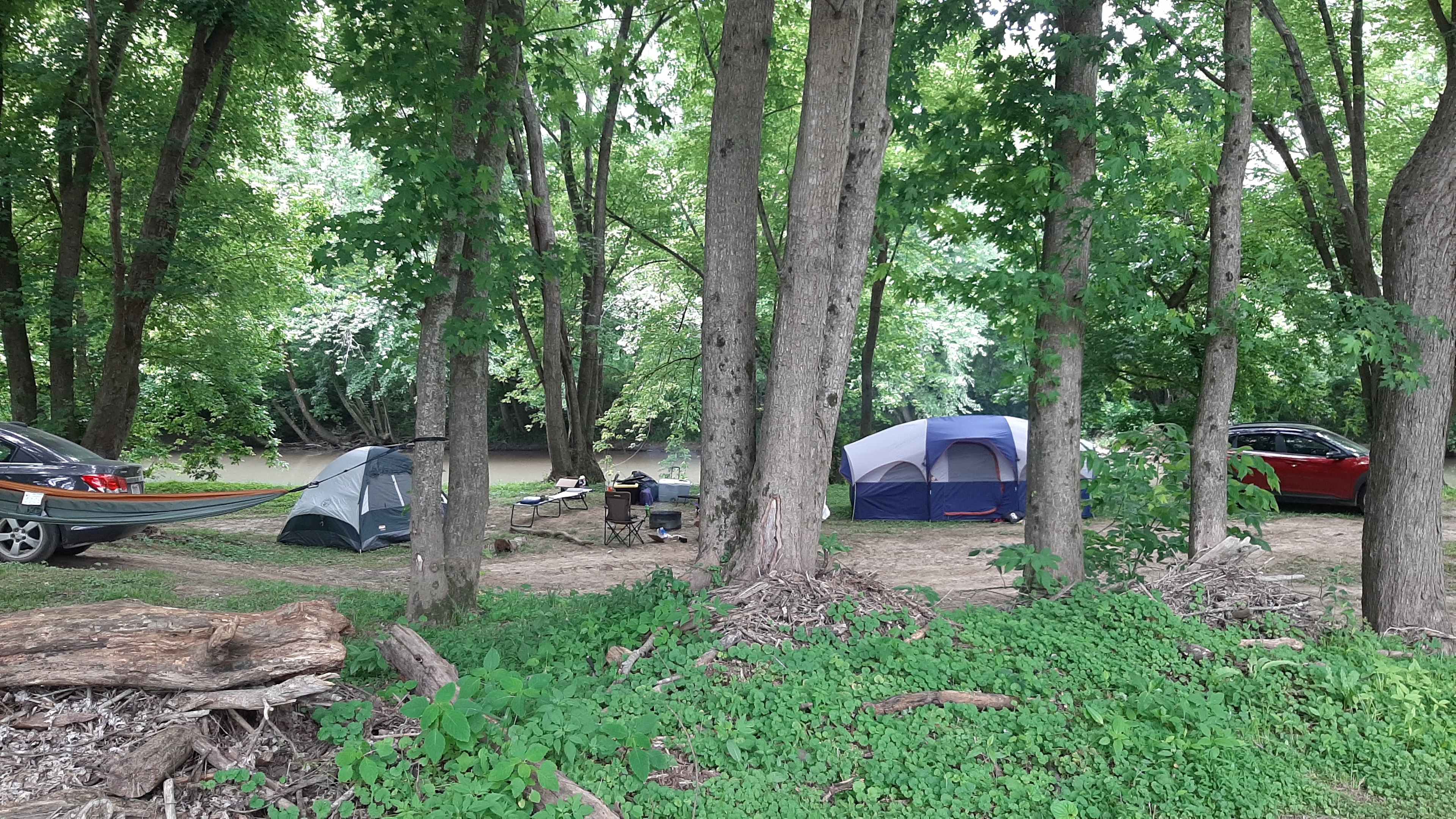 Picture of the site