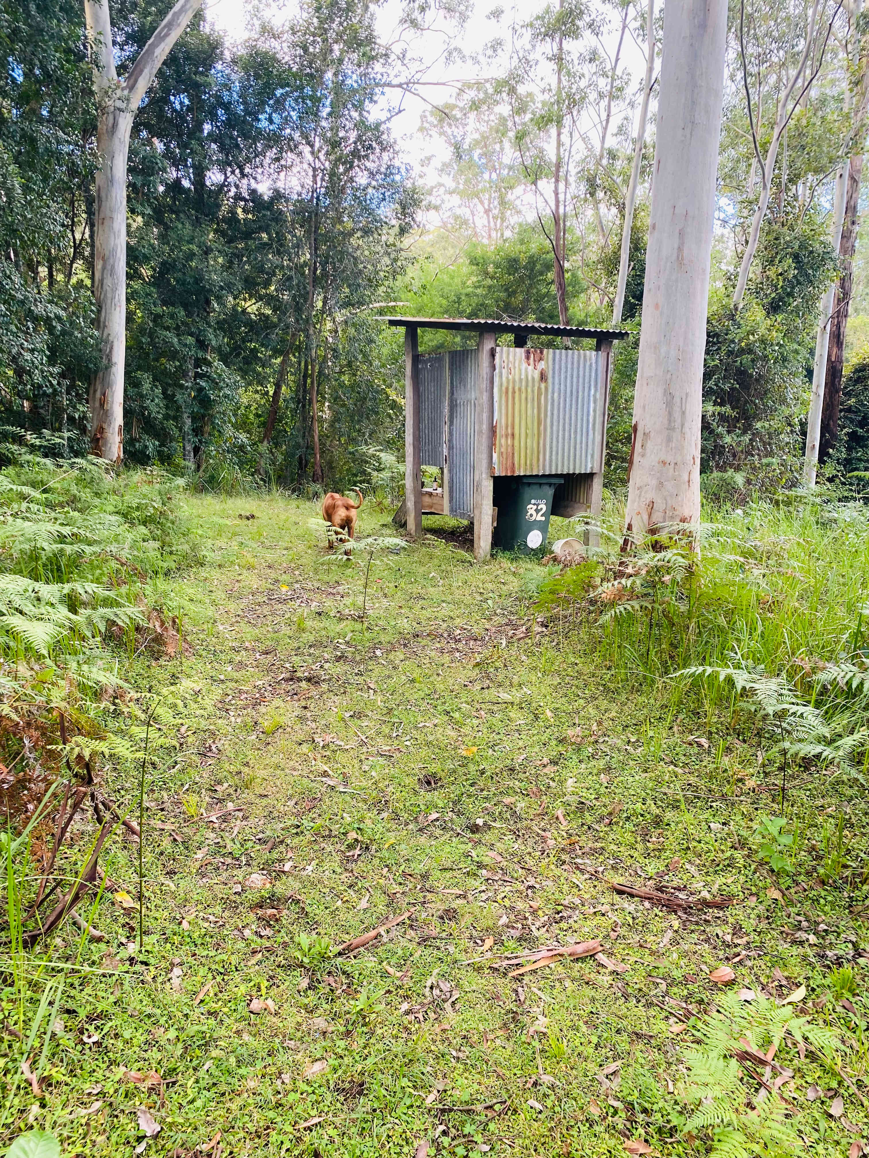 Outside view of the worm composting loo, located about 20 metres from the camping shelter