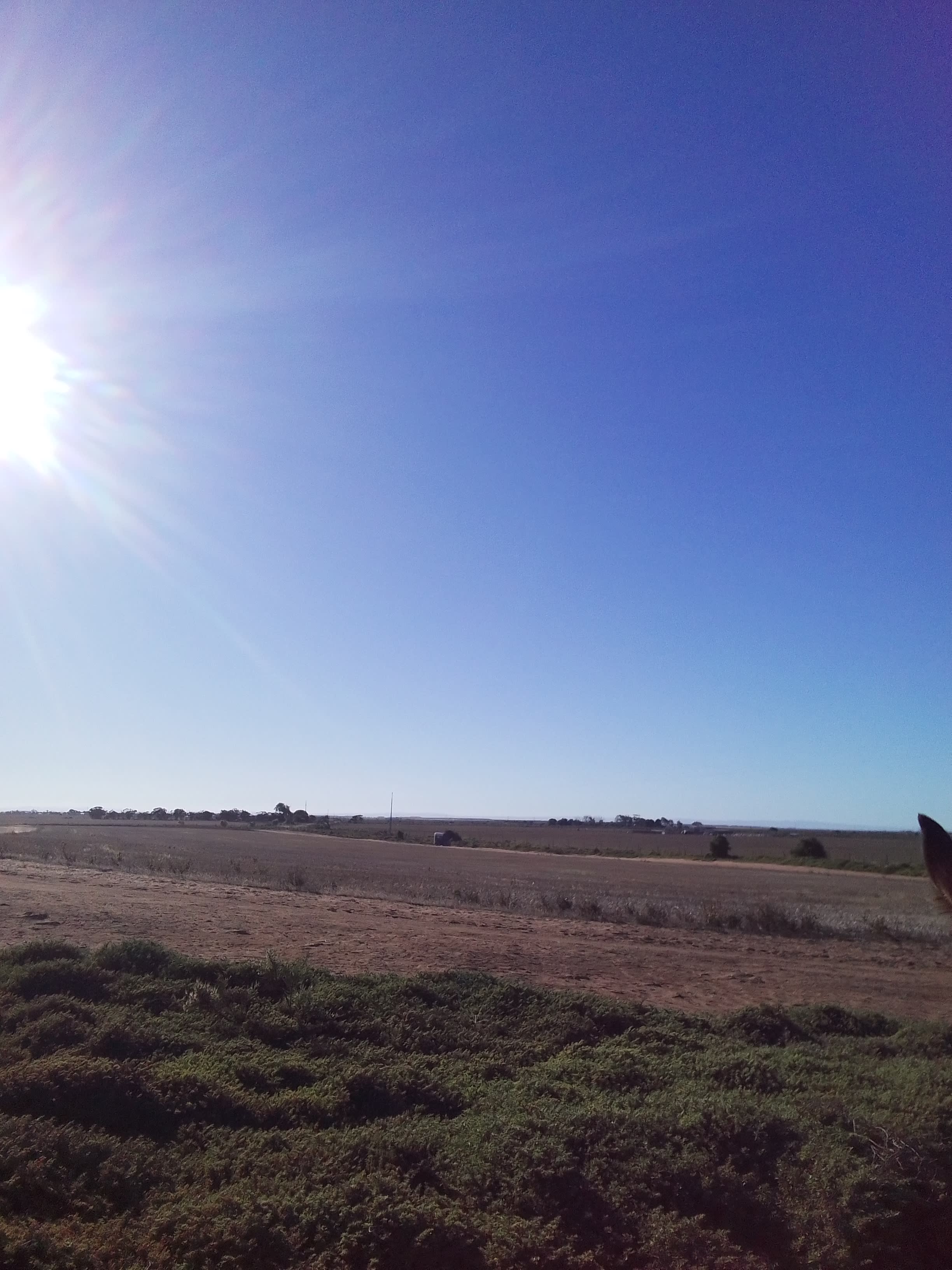 Camp with Horses close to the Beach