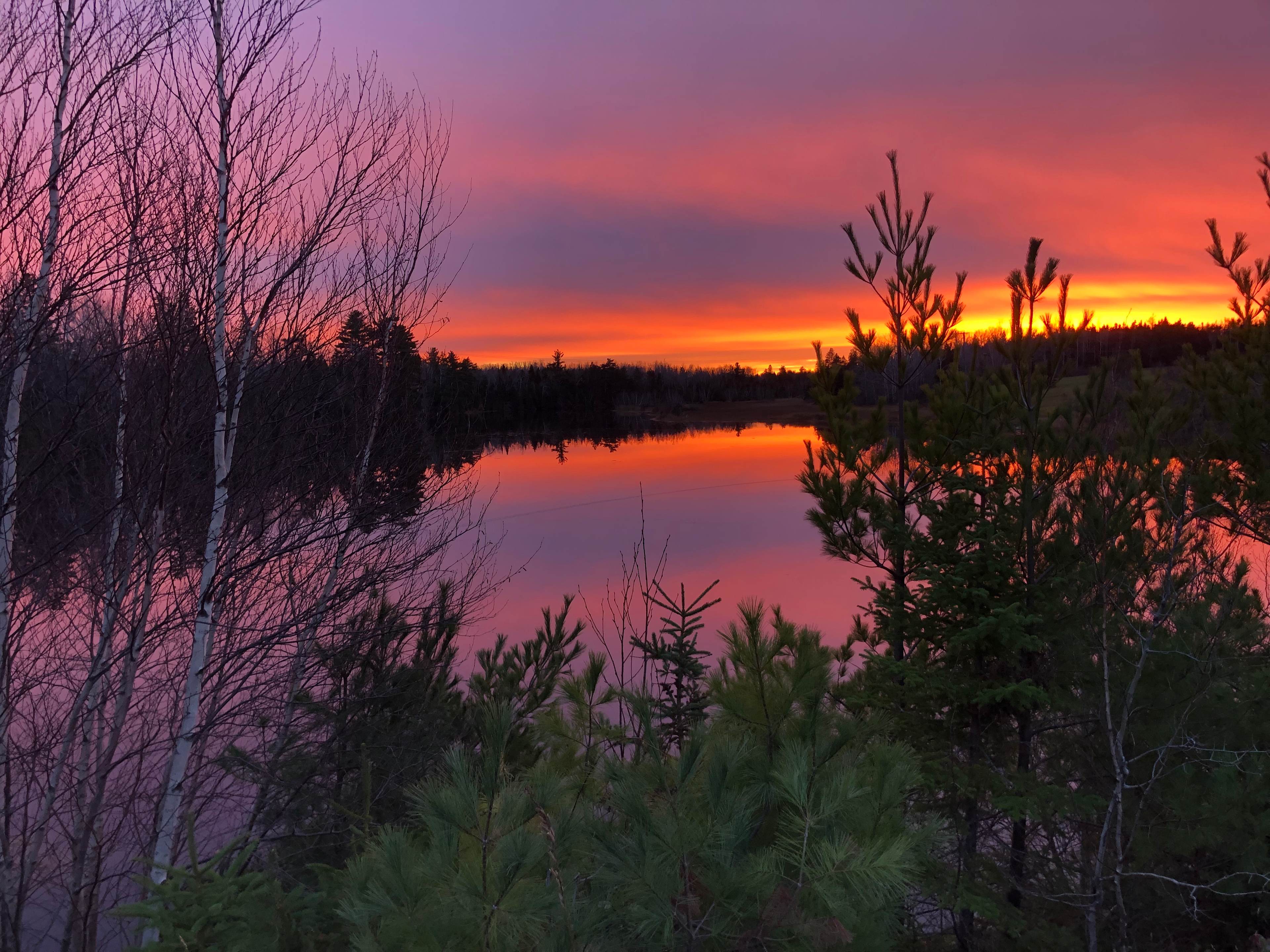 Beautiful skies