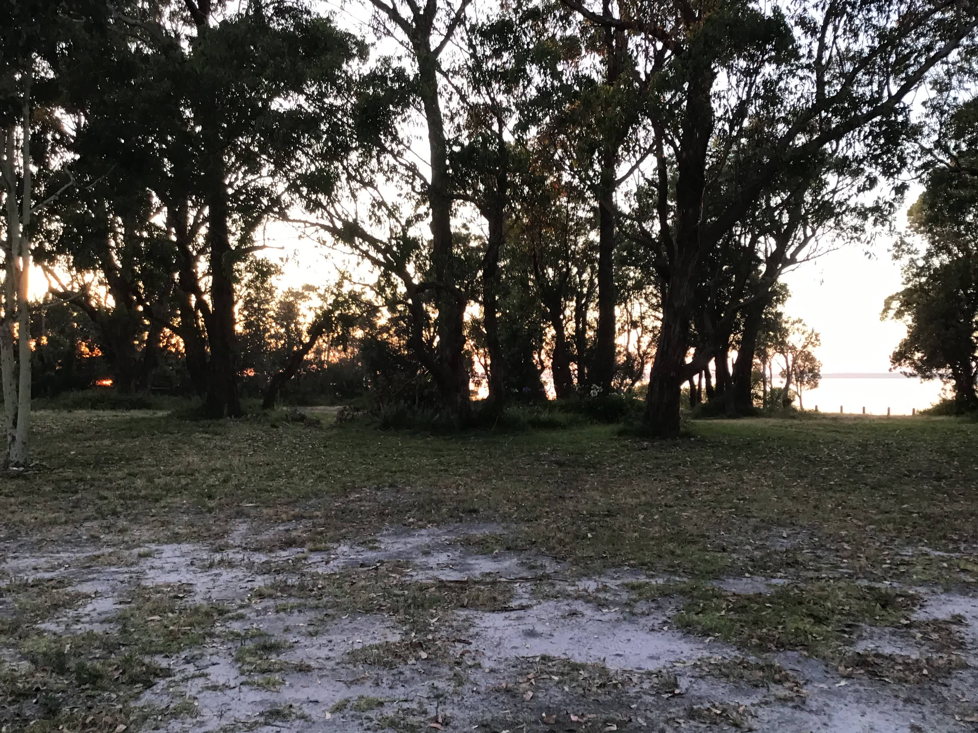 Raymond Island Retreat