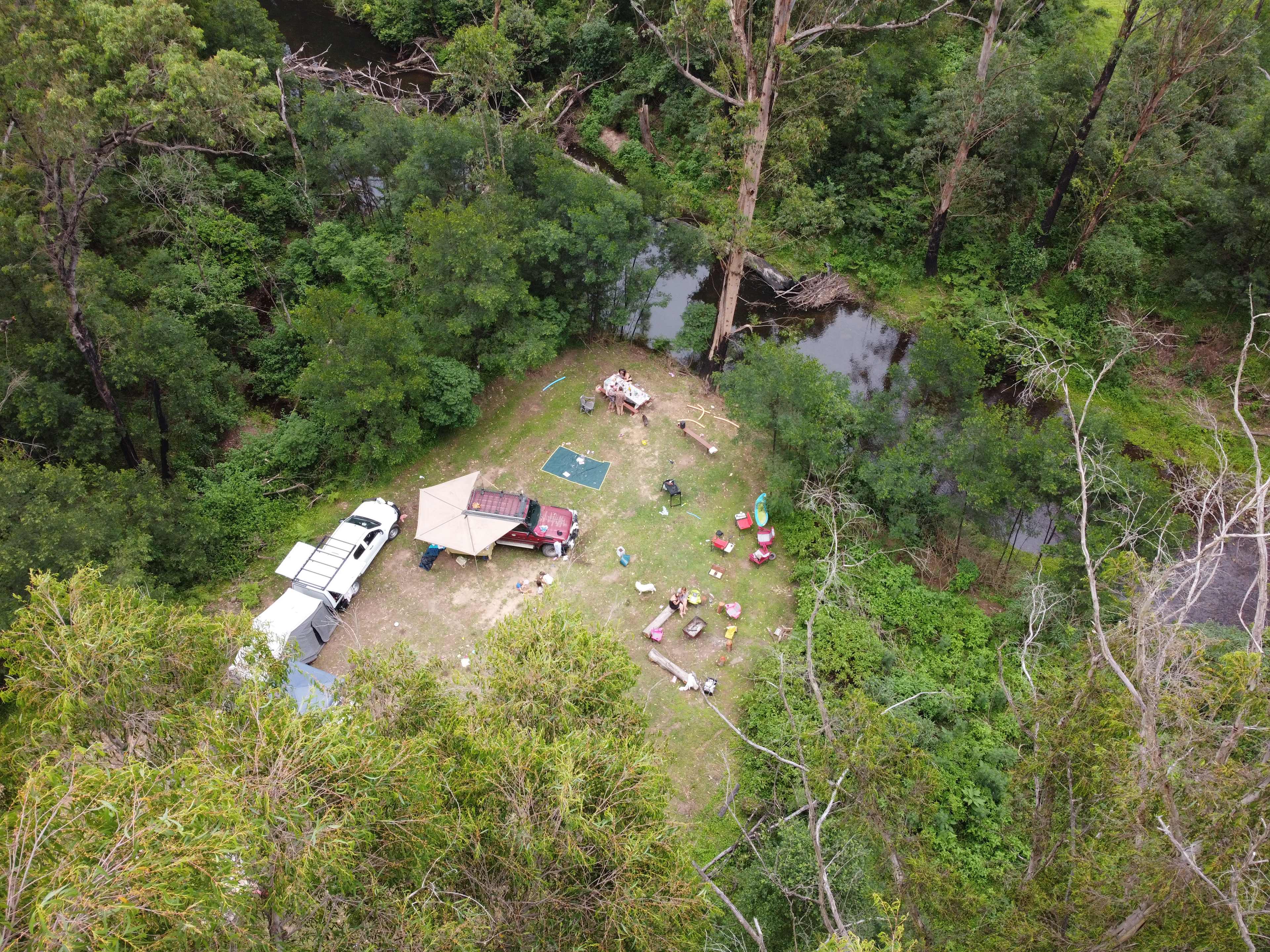 Wombat Hollow