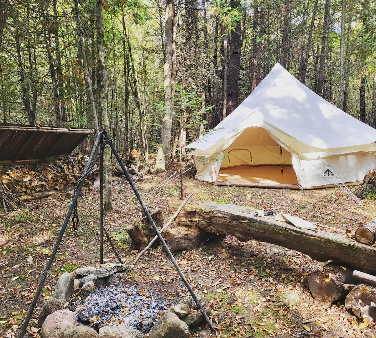 Serenity In The Woods