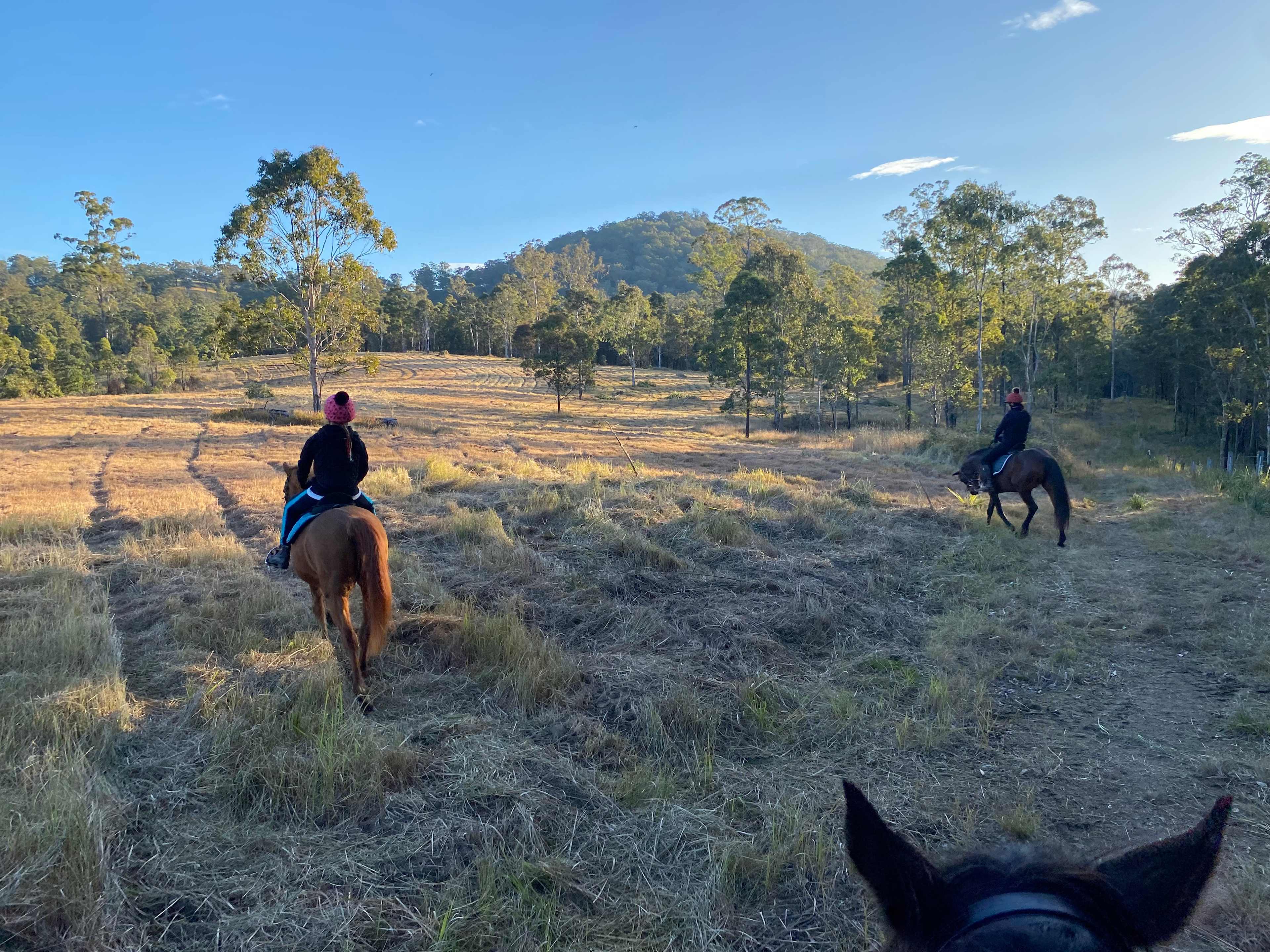 Mal and Sarah’s Farm