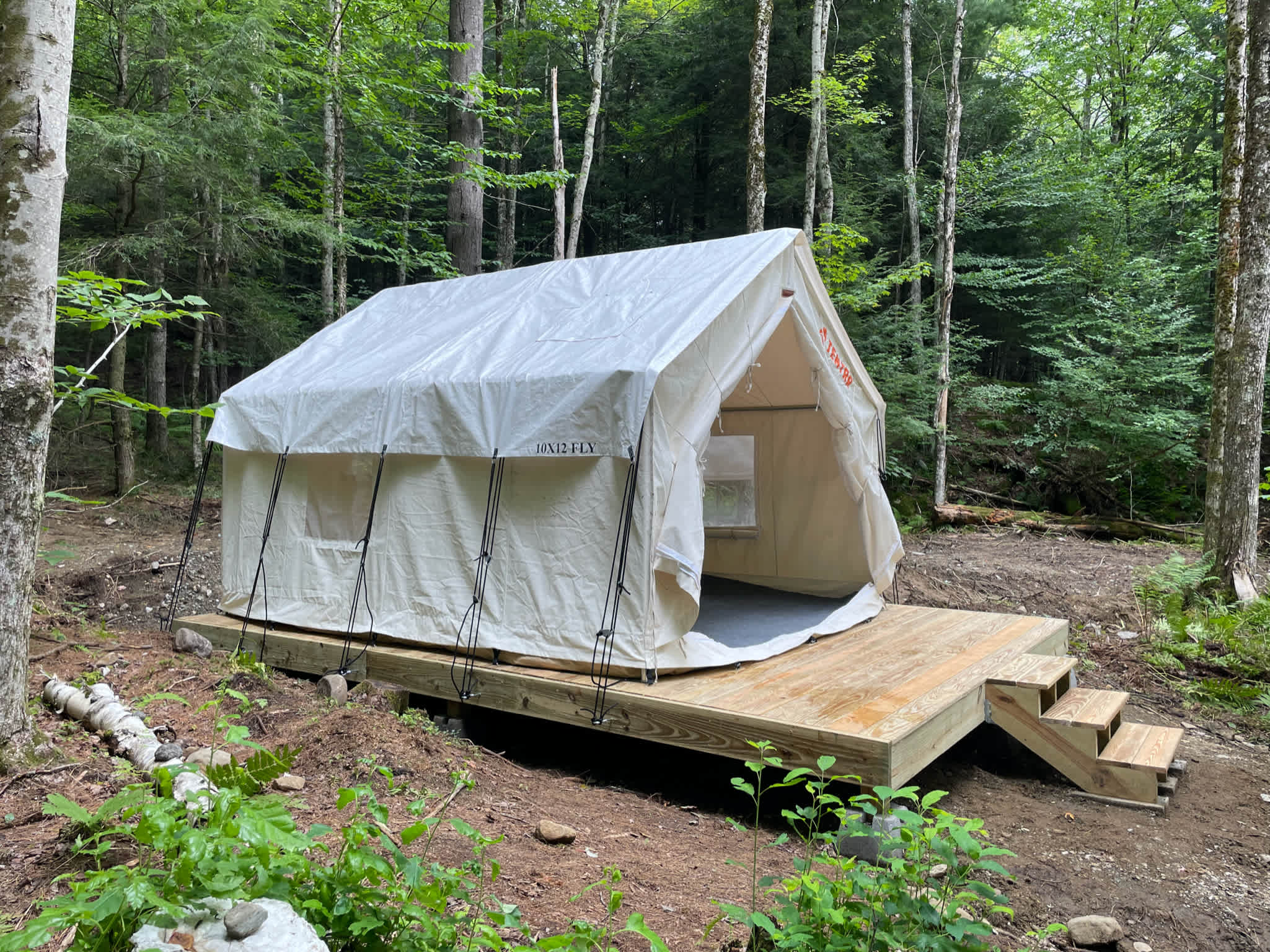 Picture of the site