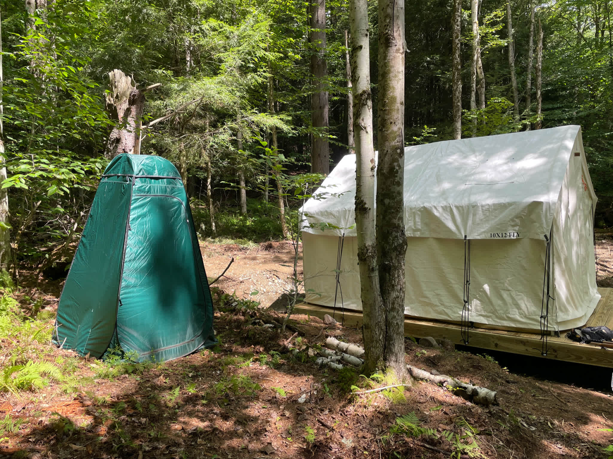 Picture of the site