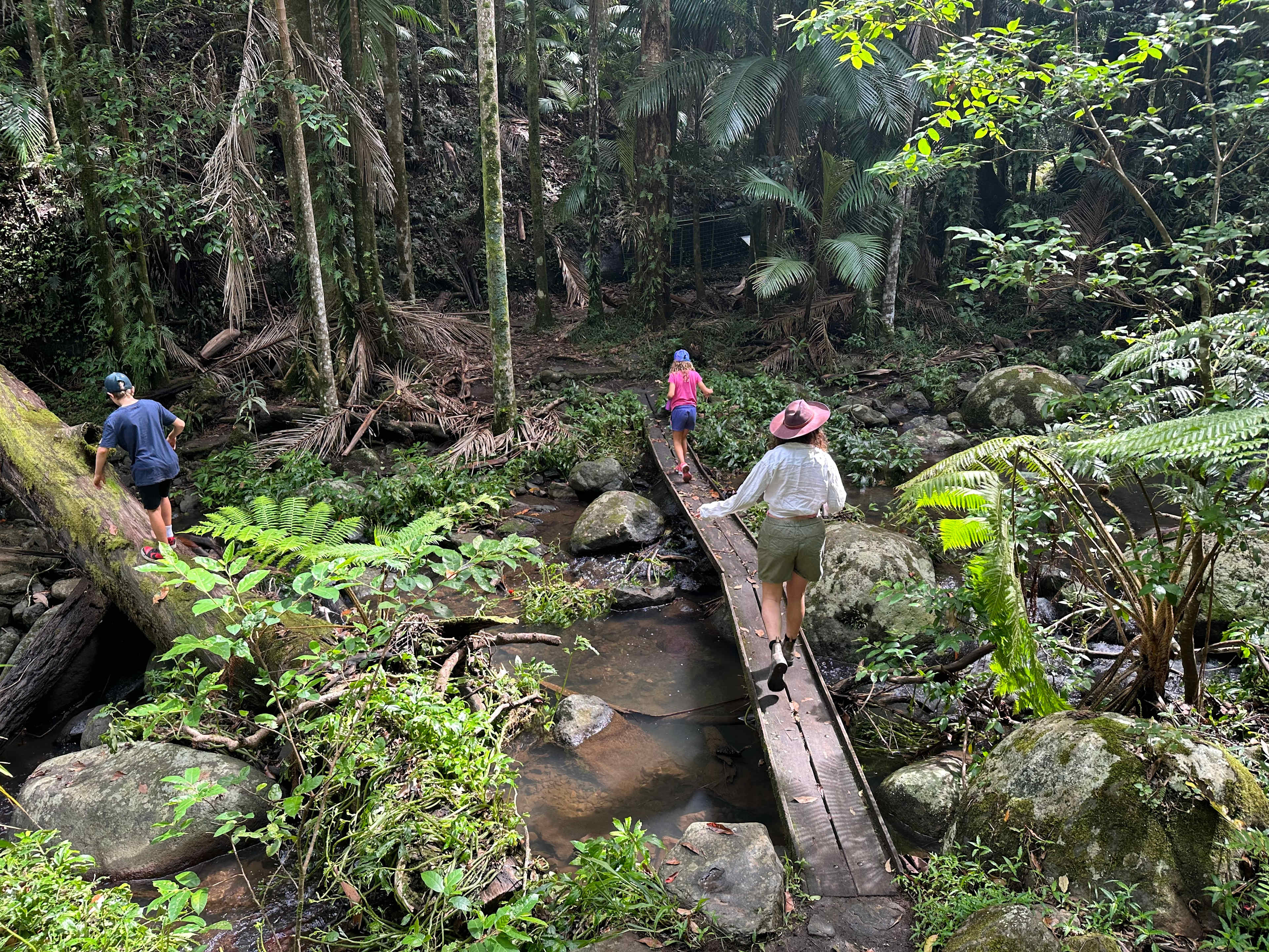 Bower Camp Co. - Border Ranges