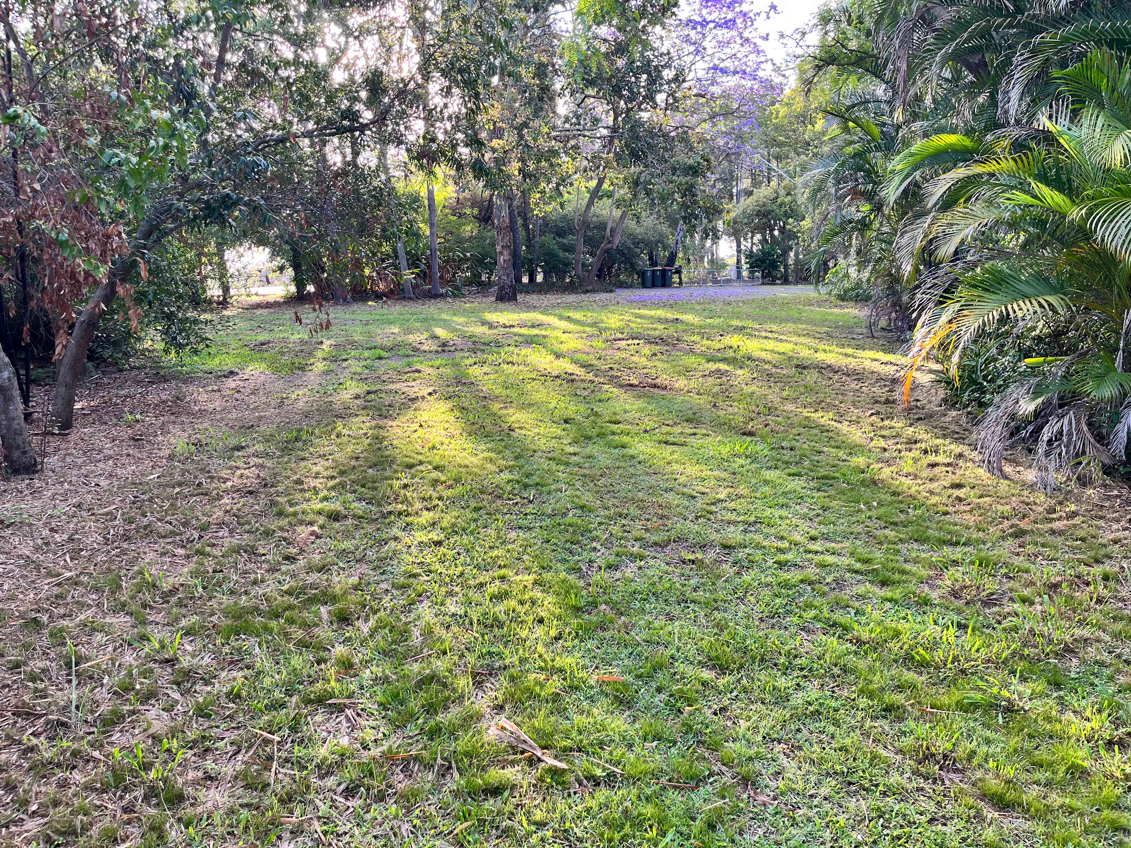 Urban Oasis in Brisbane