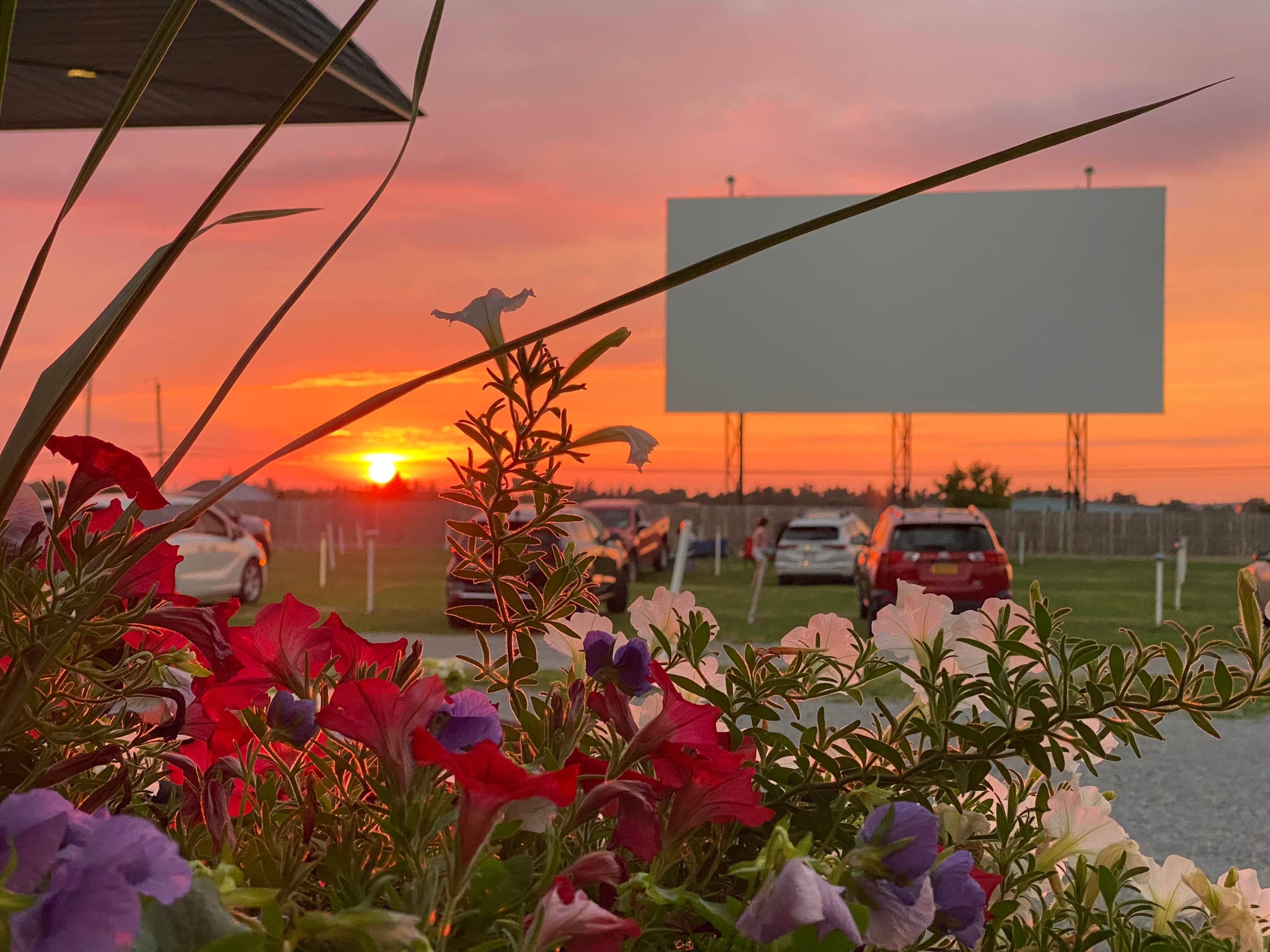 Bay Drive-In