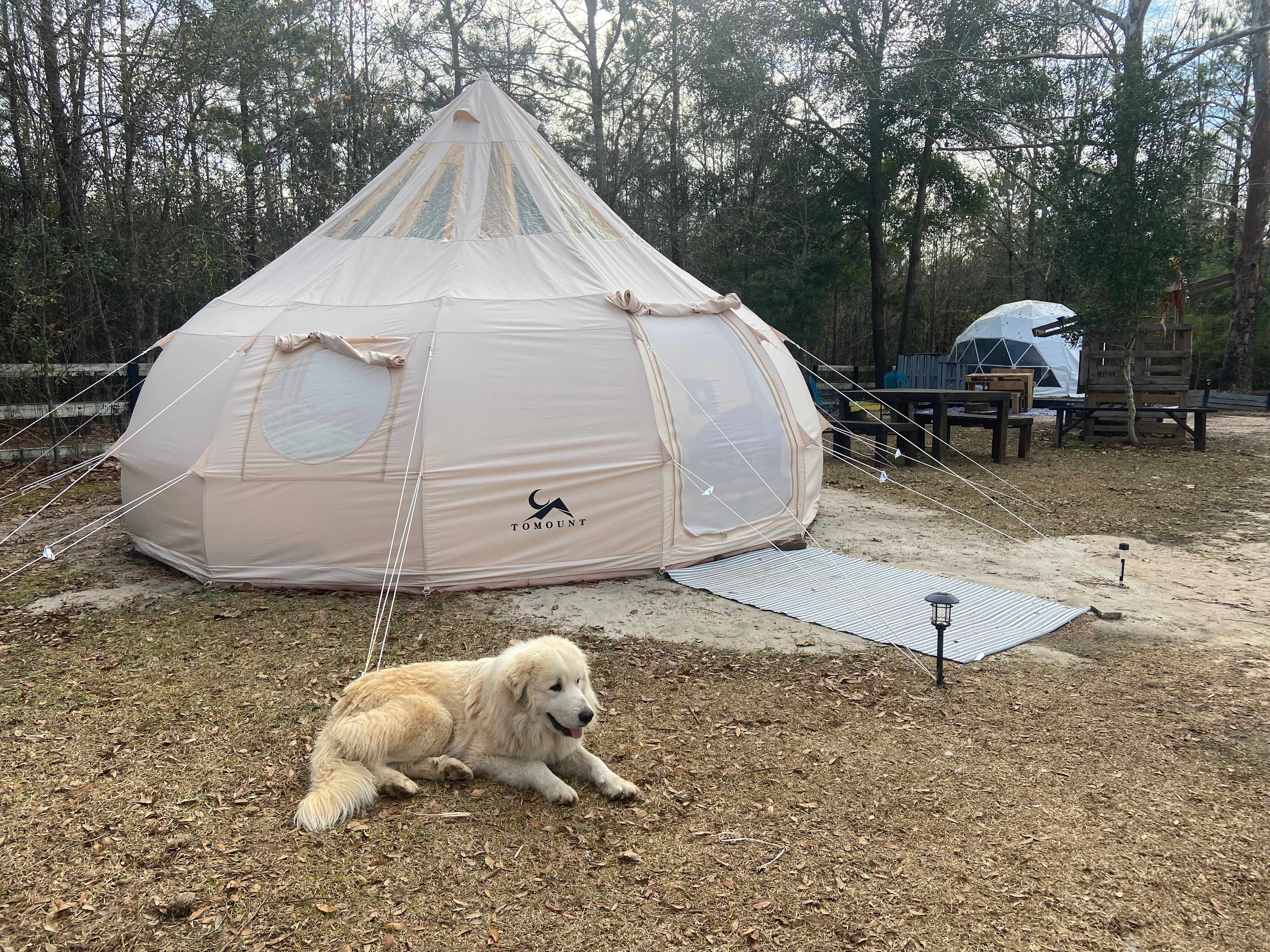 SandyLand Farmstay GlampingTherapy