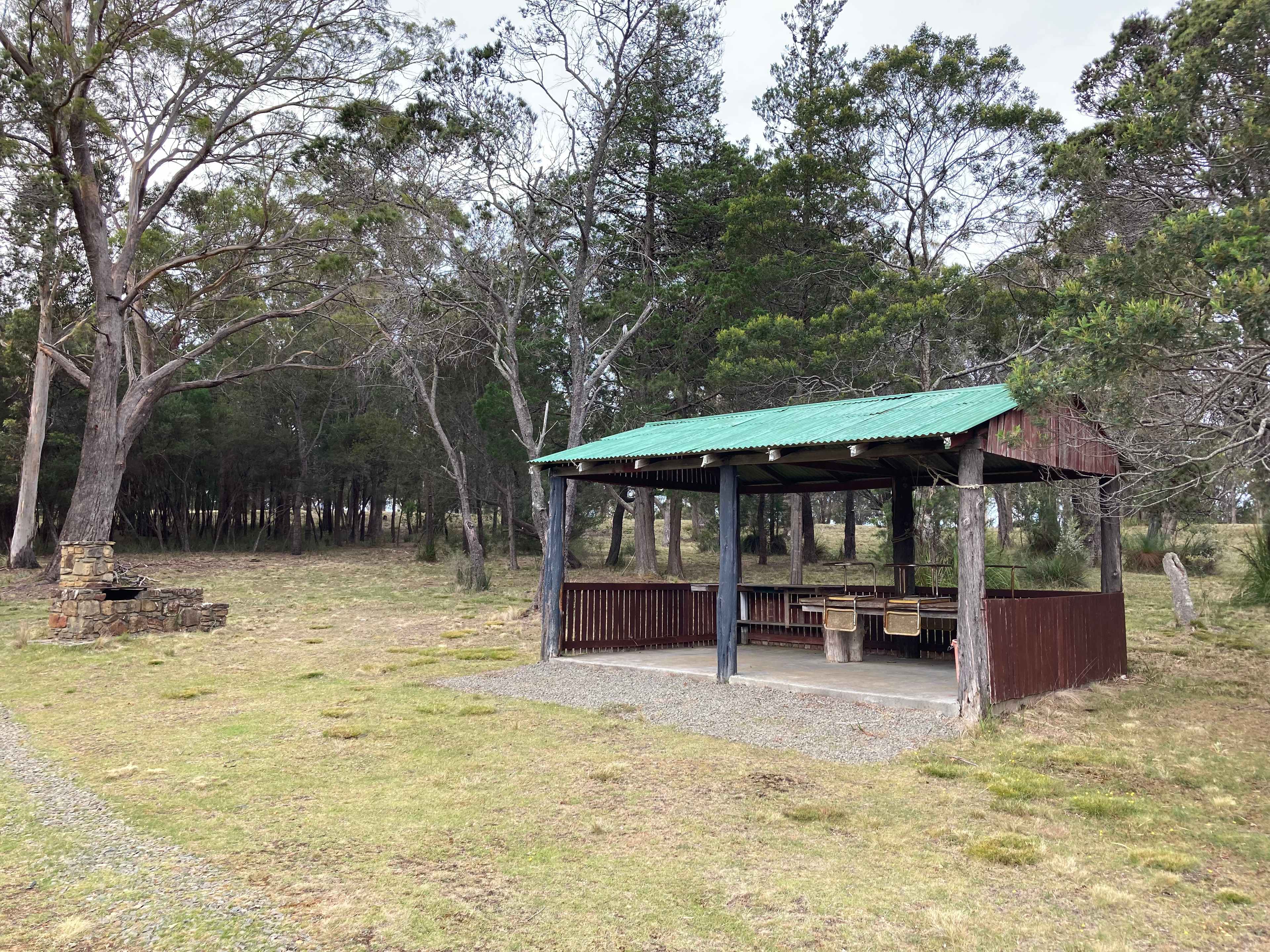 Bicheno Pine Ridge