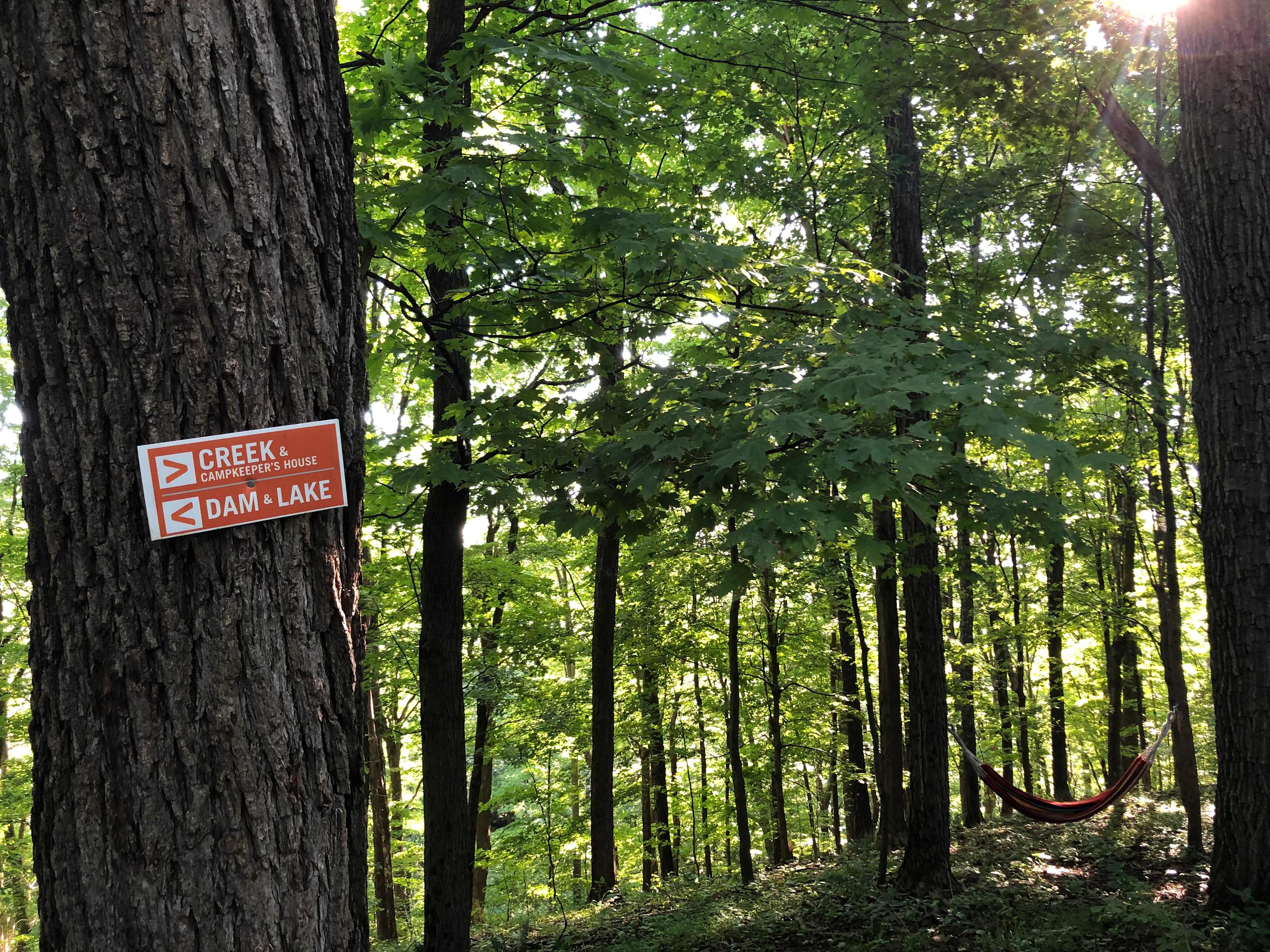 Choose your own path from camp.