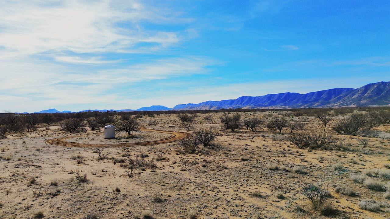 Cougar DAO Camp