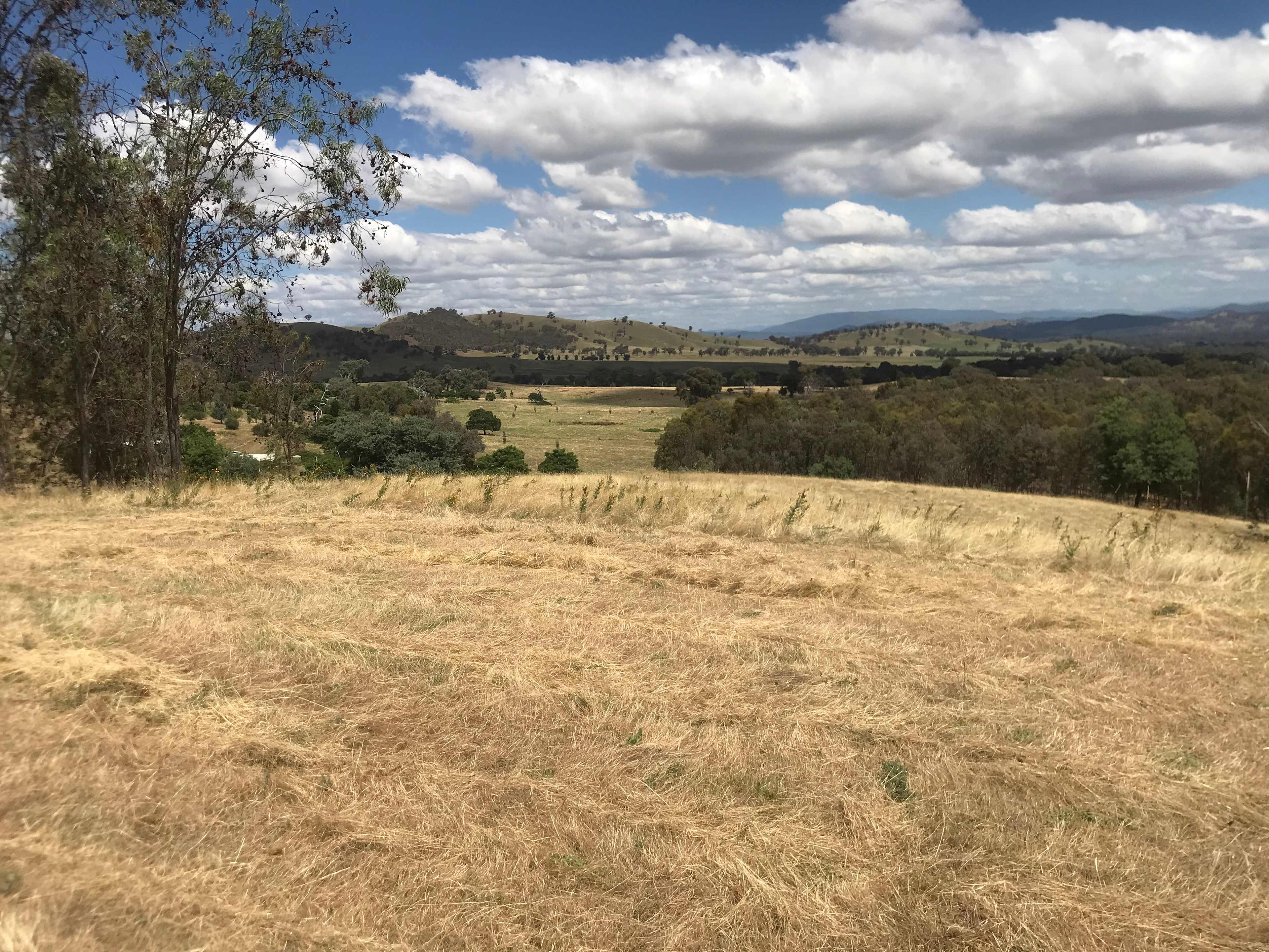 Panorama on Oxenbury