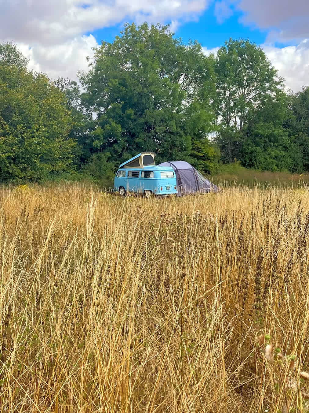 Barn Owl Camping