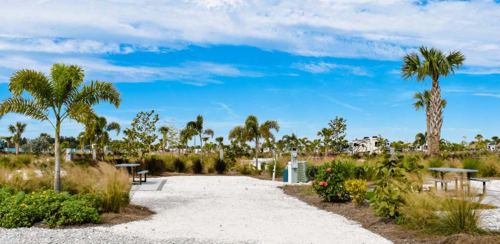 Picture of the site