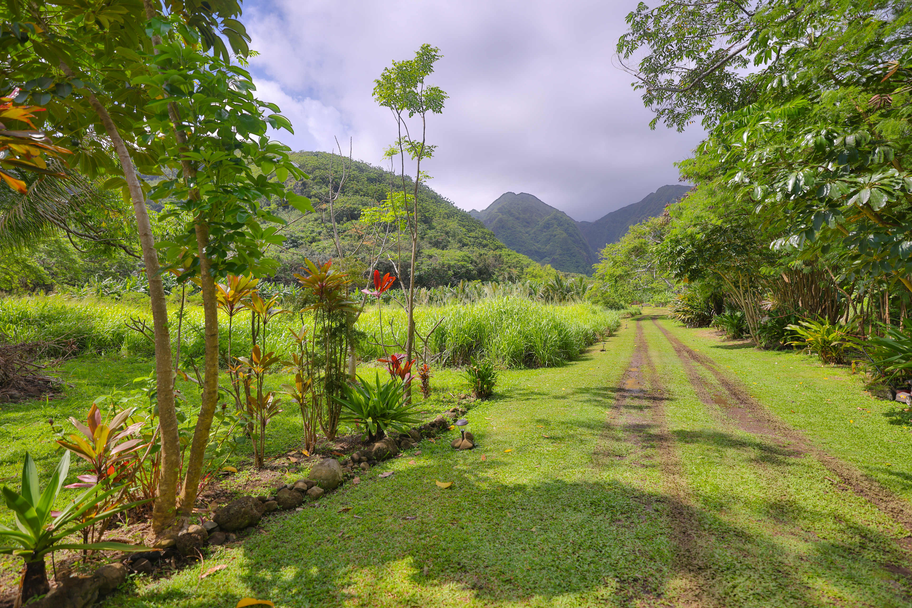Malama Aina Retreat - Oahu