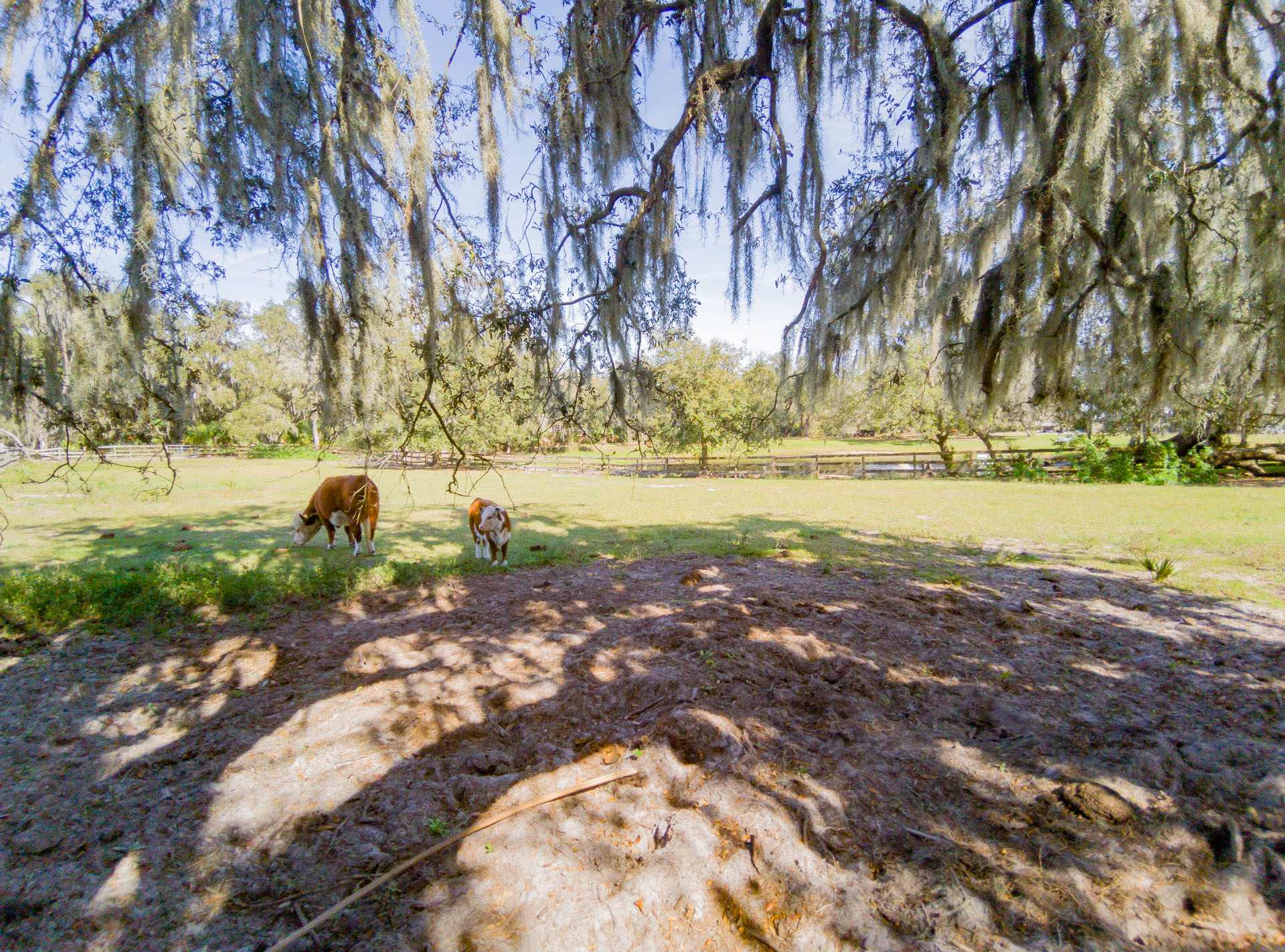 Owen's Family Farm