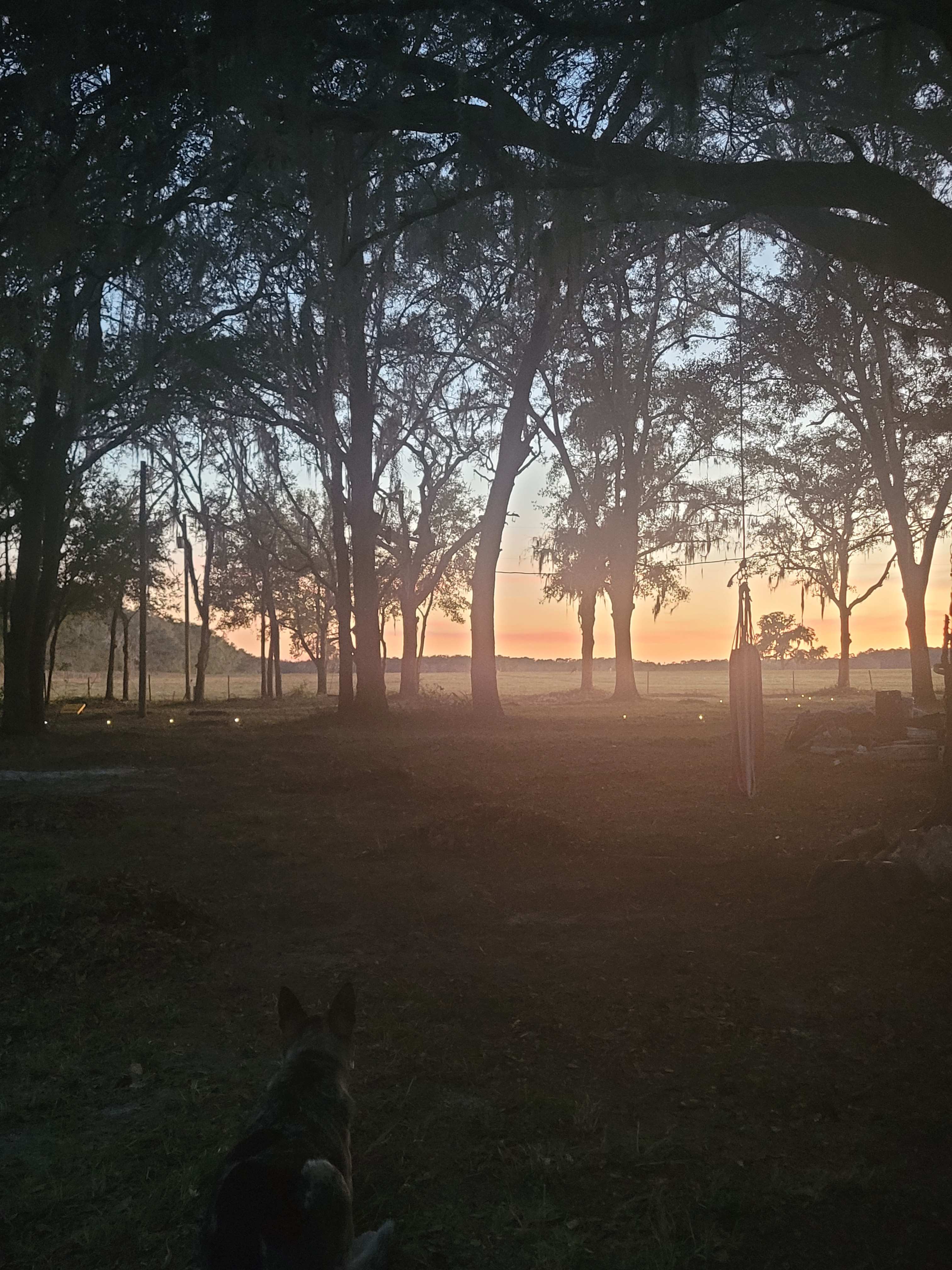 Nature's hug camping