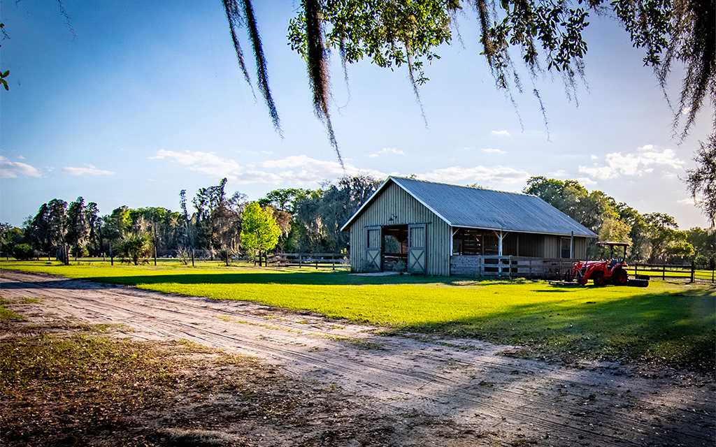 Owen's Family Farm
