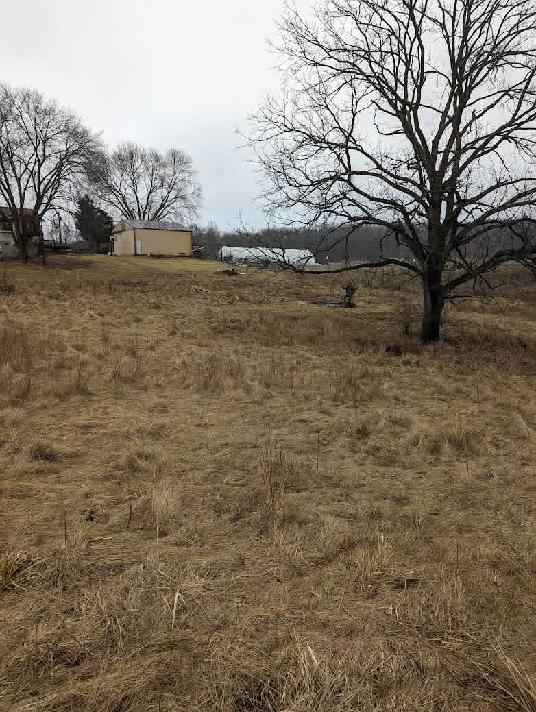 Black Walnut Campsite - Under Construction - Ready April 2024.