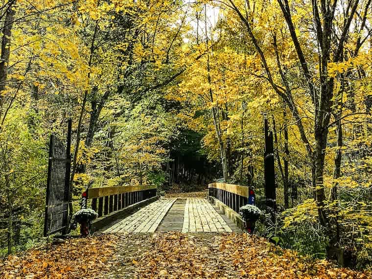 Hucklebuck Railway Campsites