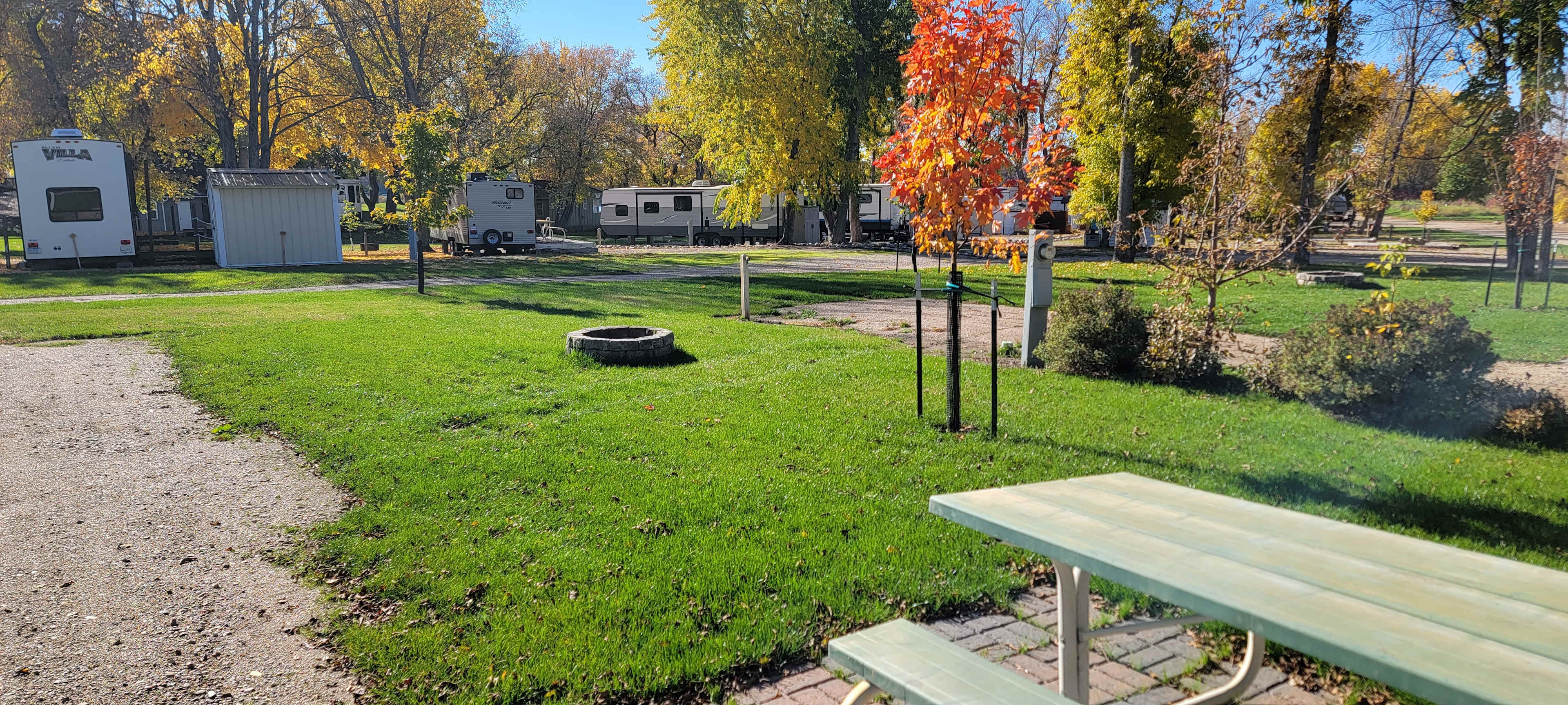 Picture of the site
