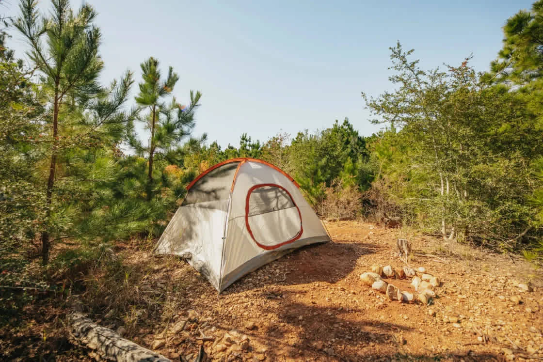 Lost Pines Camping