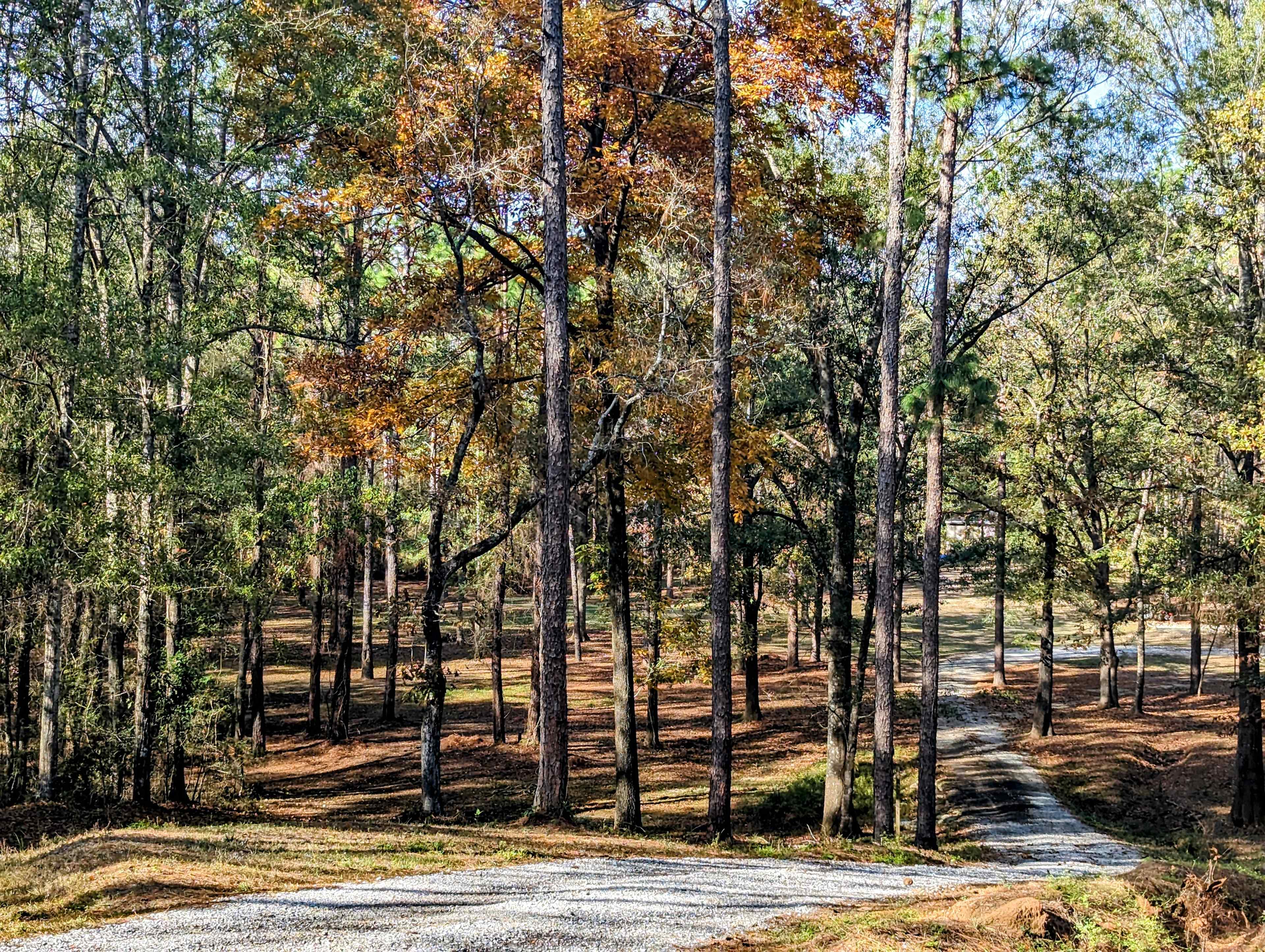Luxor Camping, RV & Retreat