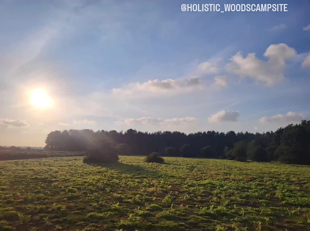 Holistic Woods Campsite WILD