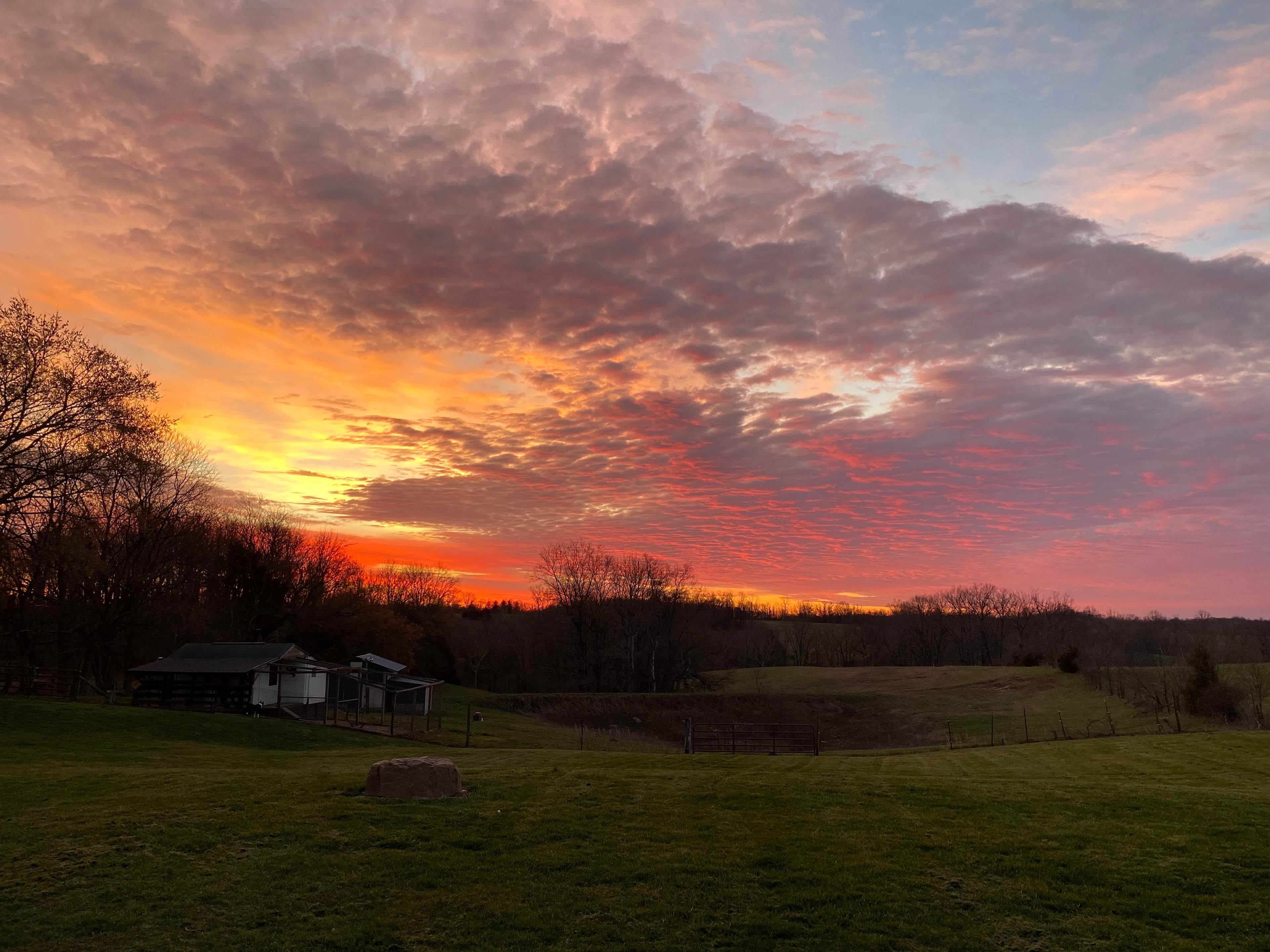 Meadow Creek Farm