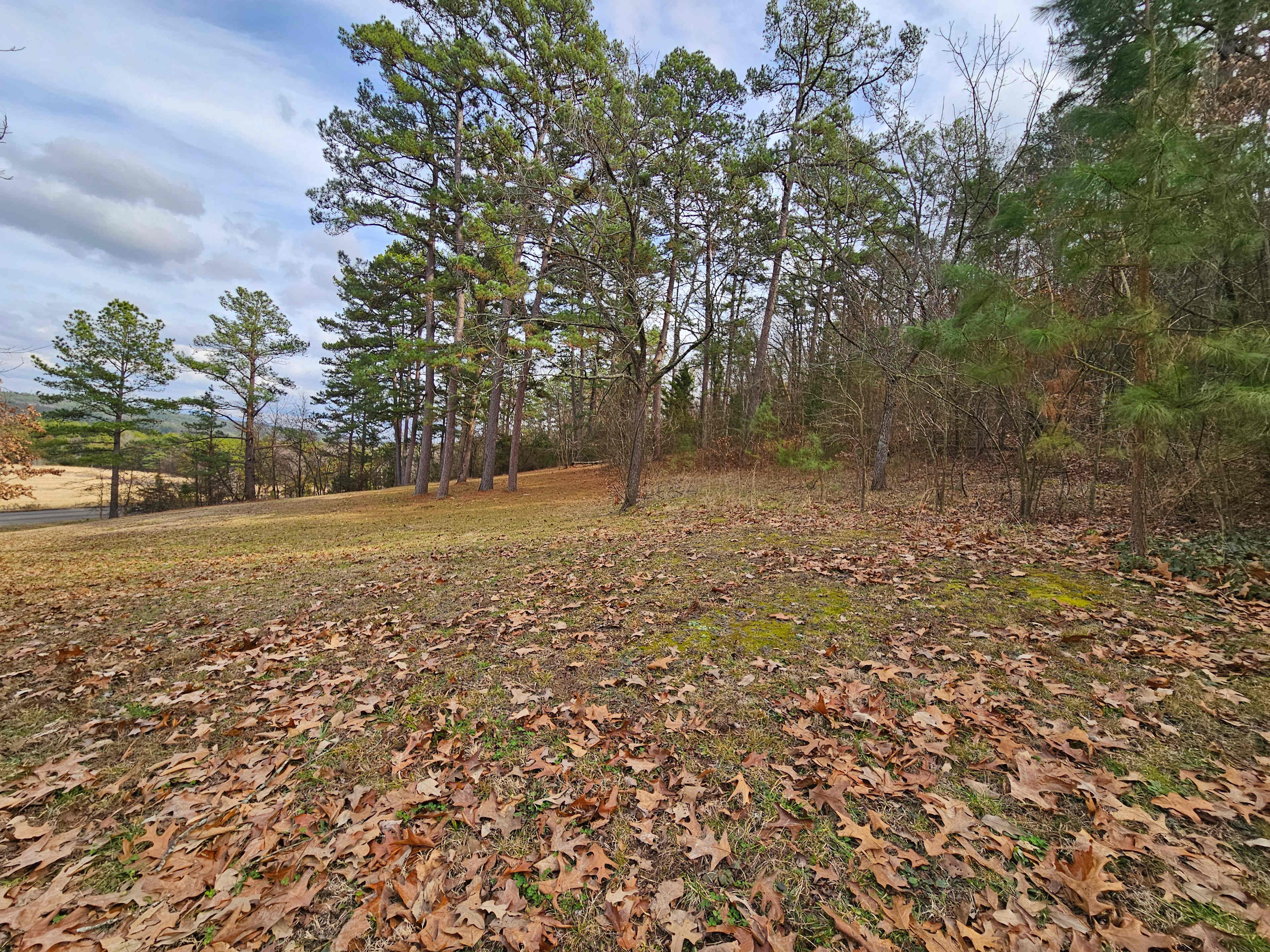 Jack Creek Mountain Retreat