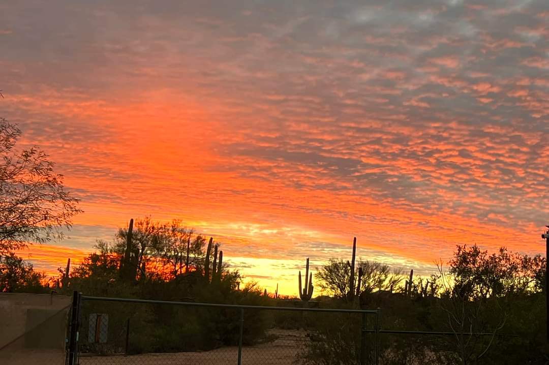 Our sunsets are divine.