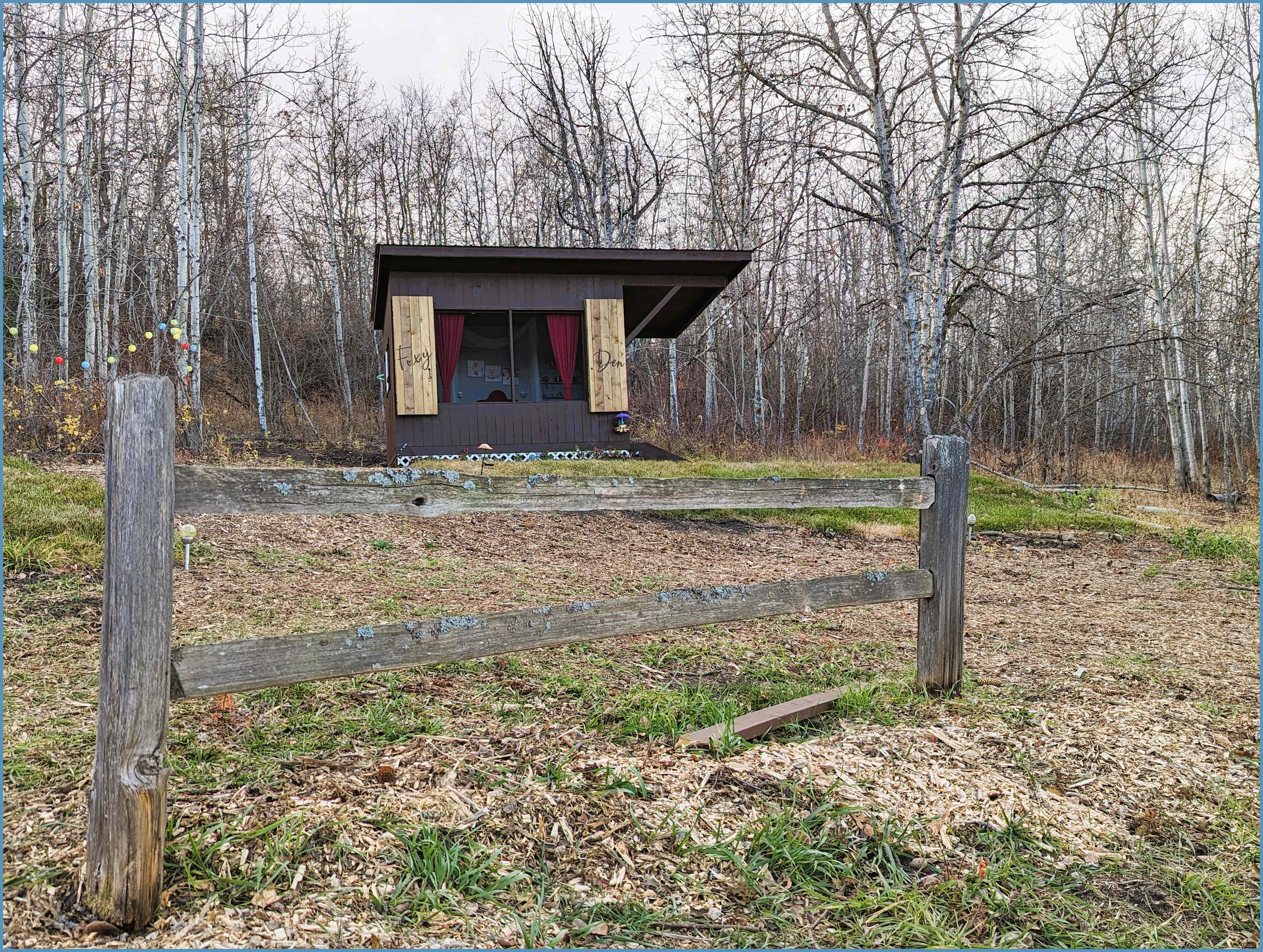Lay in bed and enjoy the scenery! Surrounded in nature, You can hear the birds, owls and coyotes. Great view of the fire pit! 