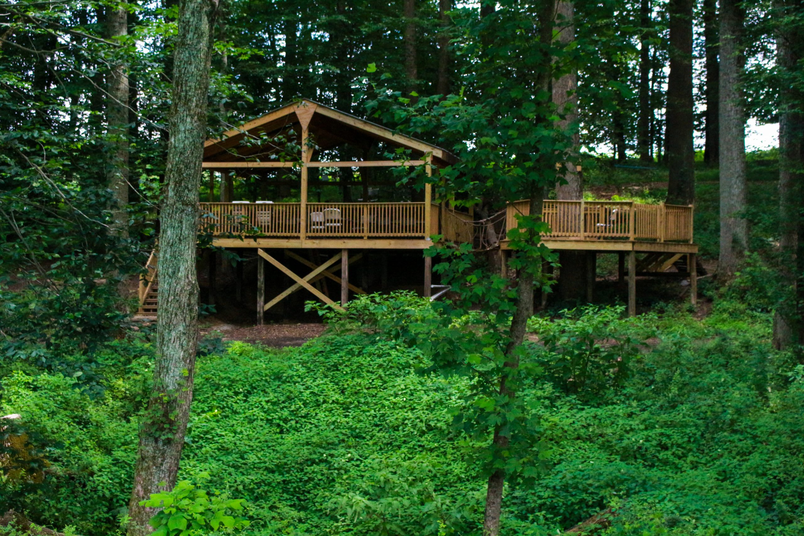 Regenerative Working Farm Stay