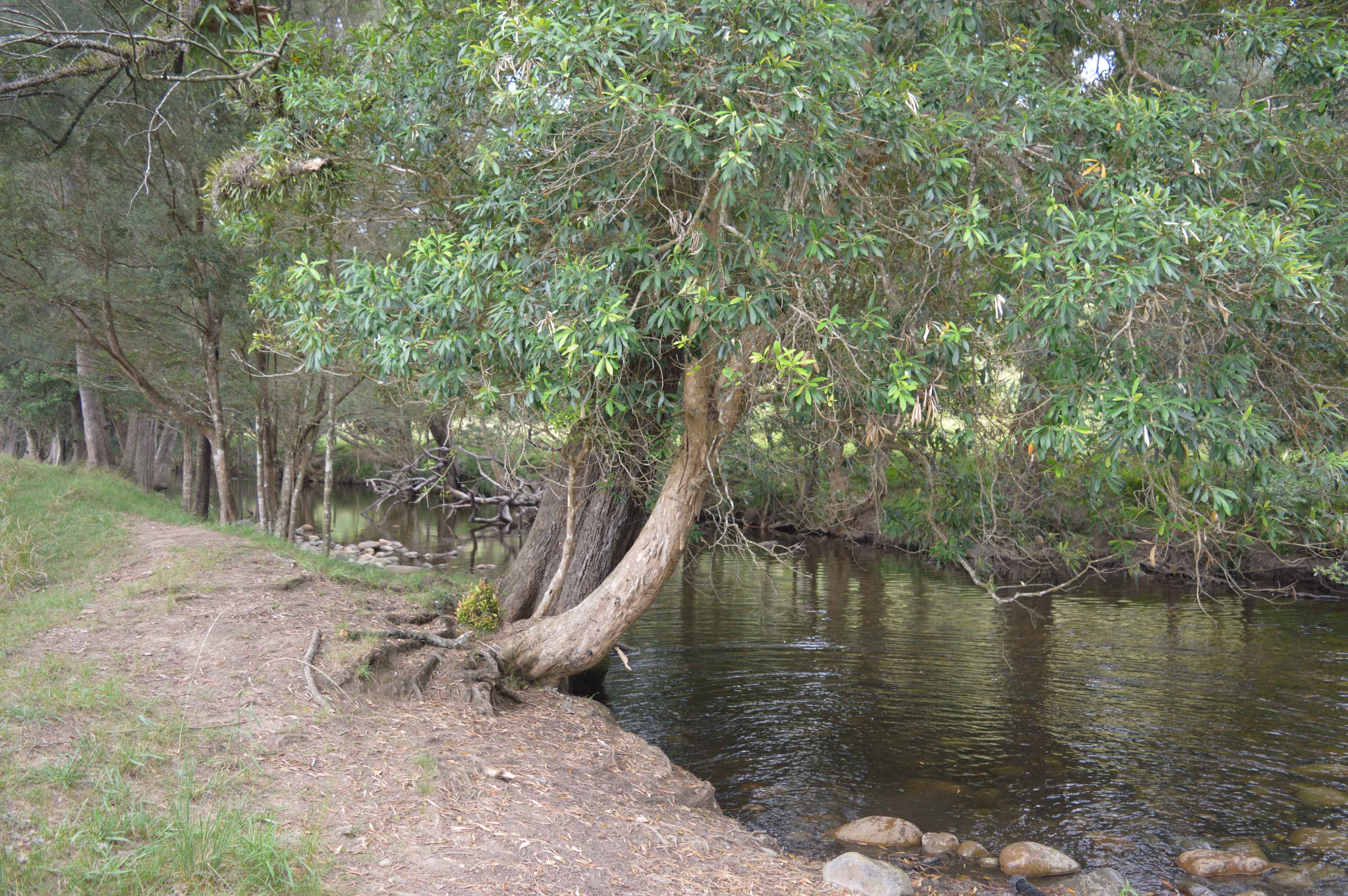River Front Campsites