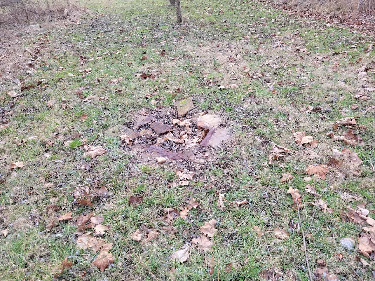 Our Haven Nature Sanctuary