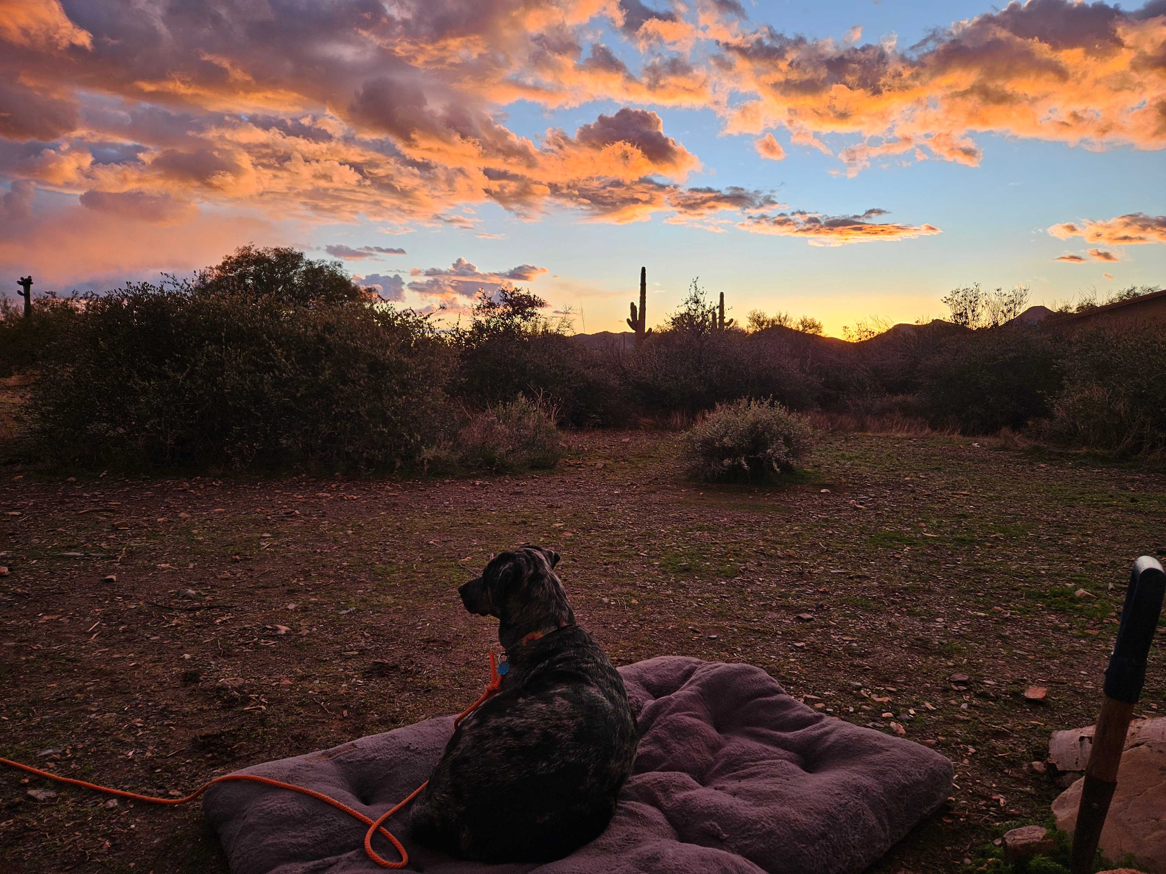 Marguerita Ranch
