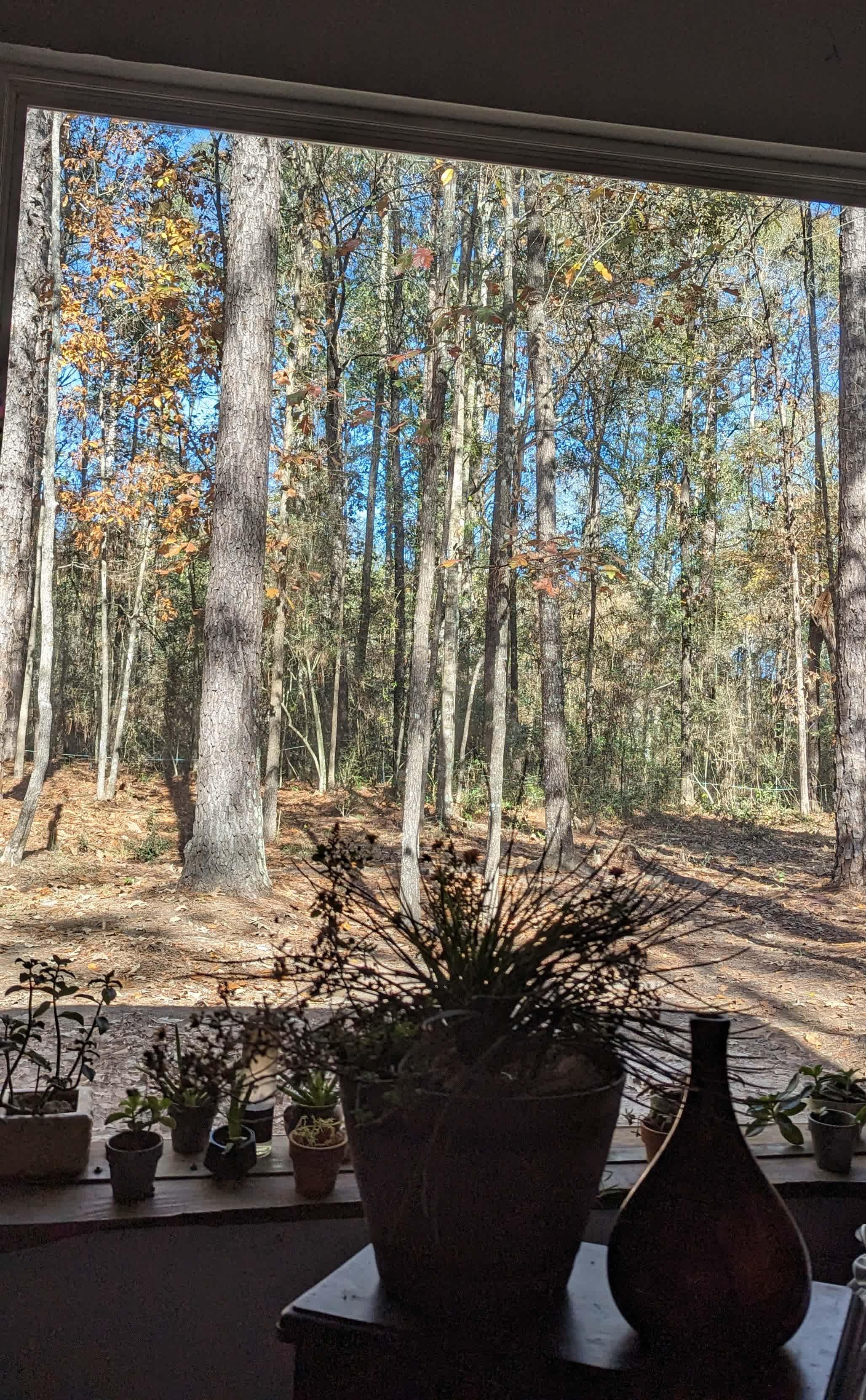 Luxor Camping, RV & Retreat