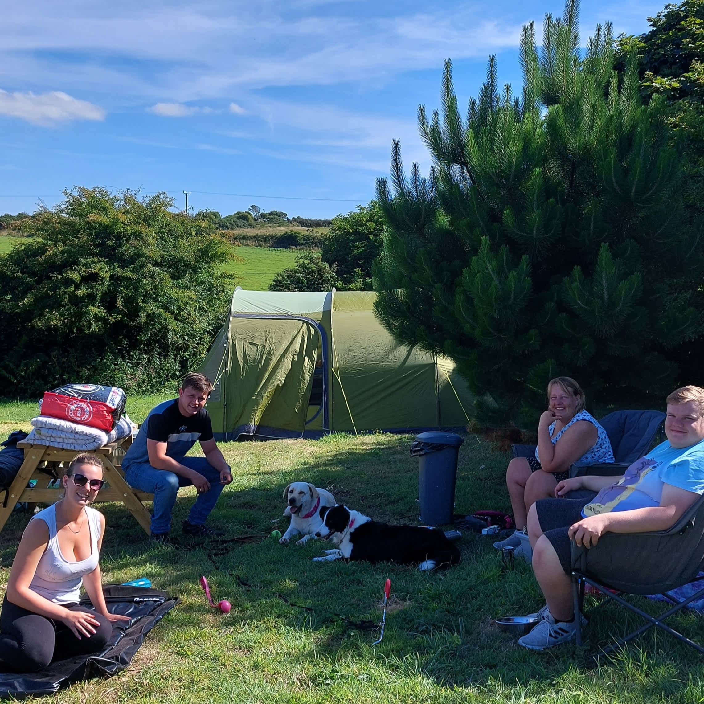 Happy campers and their dogs