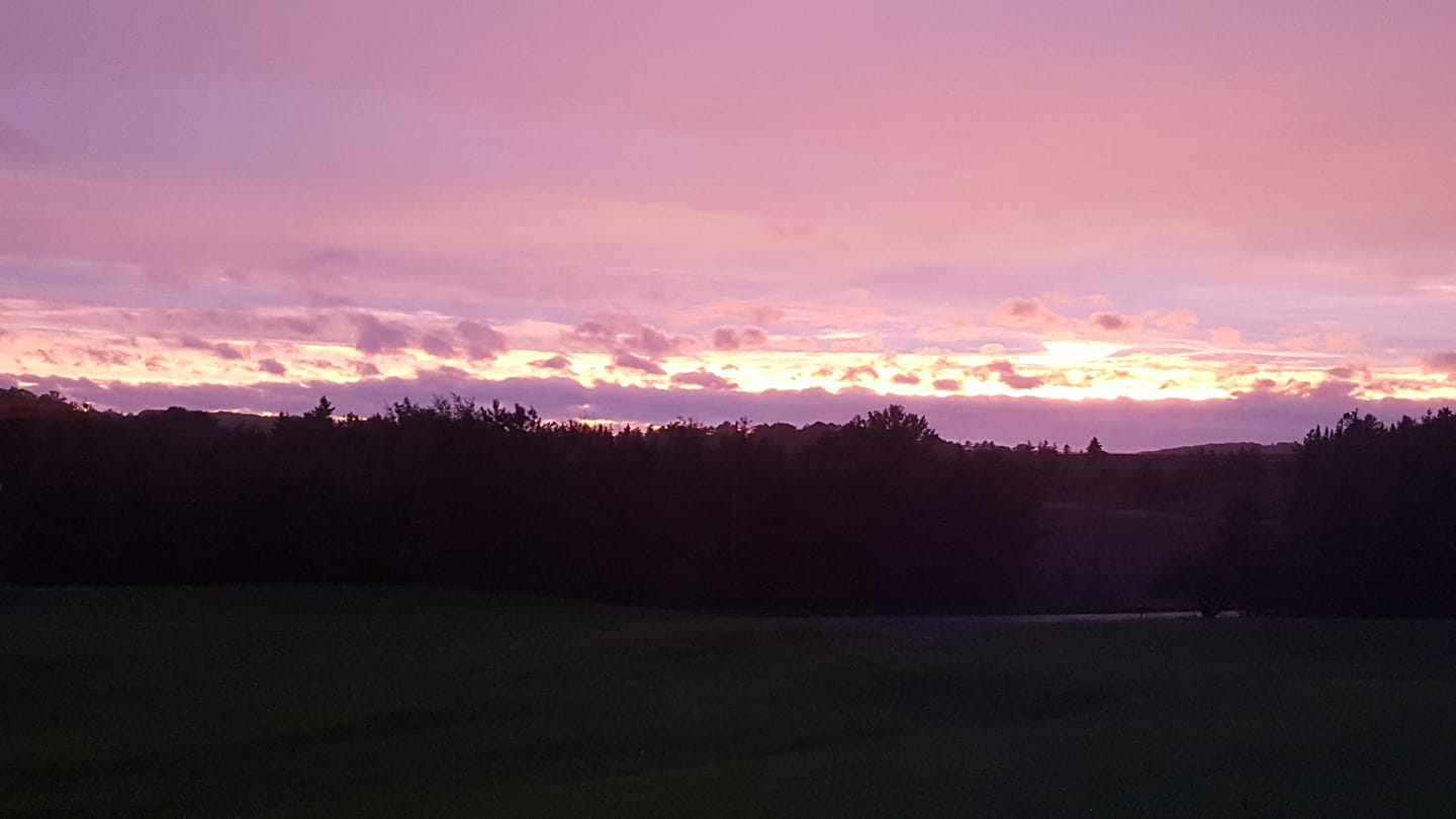 Maple Creek Farm