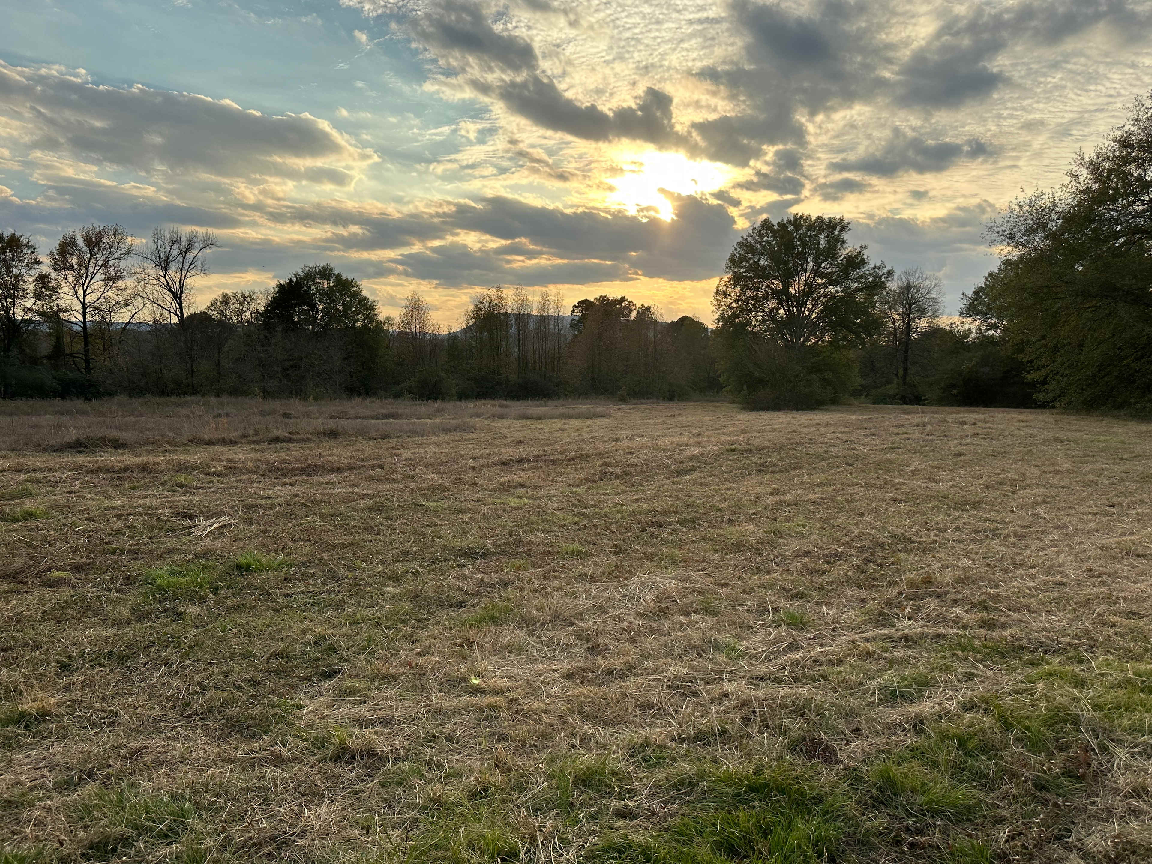 God's Country
