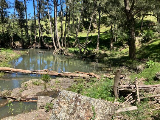 Camp Coola