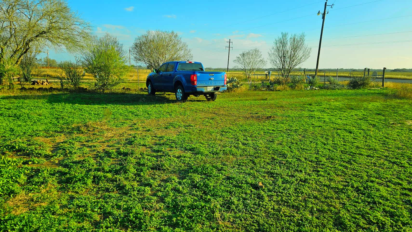 Picture of the site